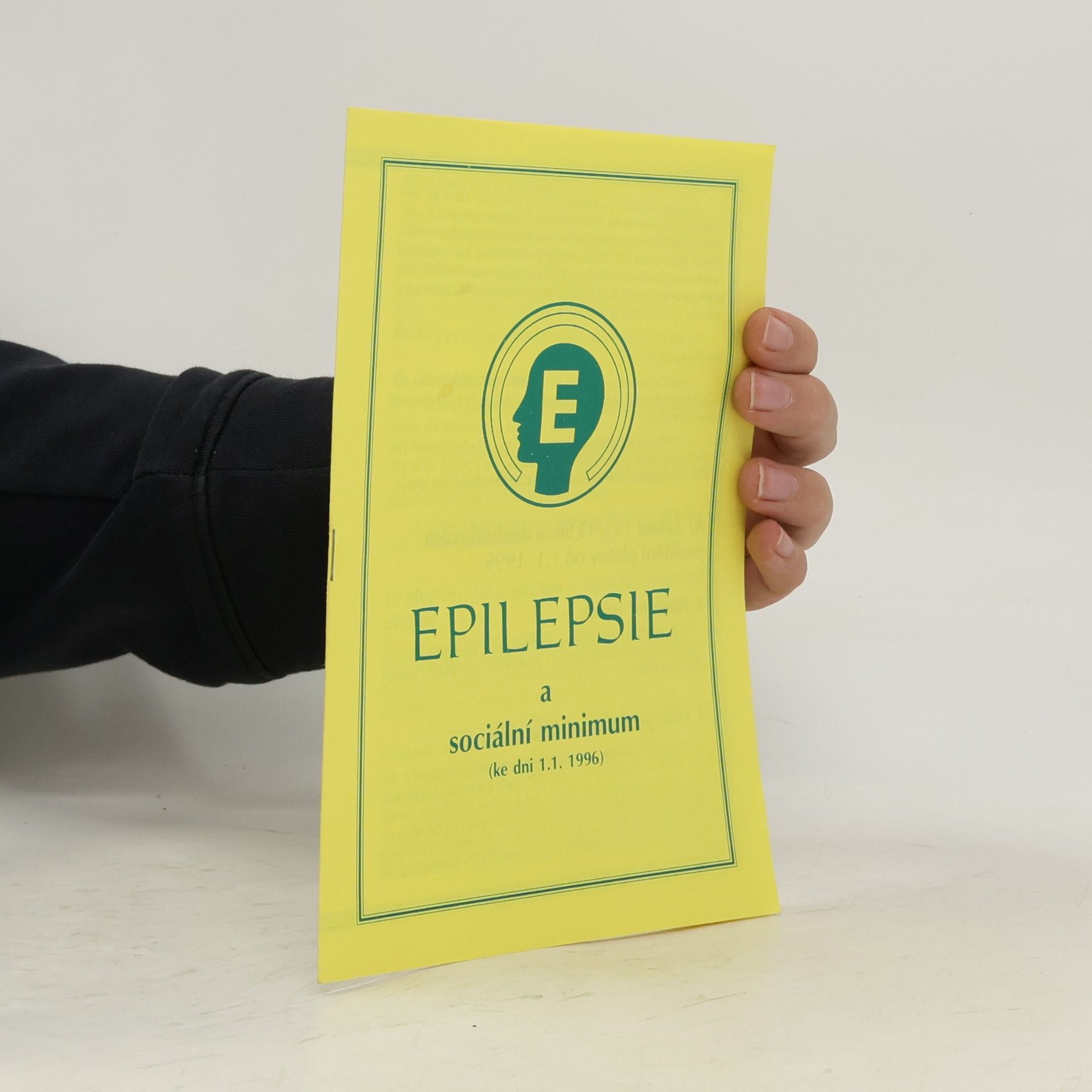 Kolektív autorov Epilepsie a sociální minimum