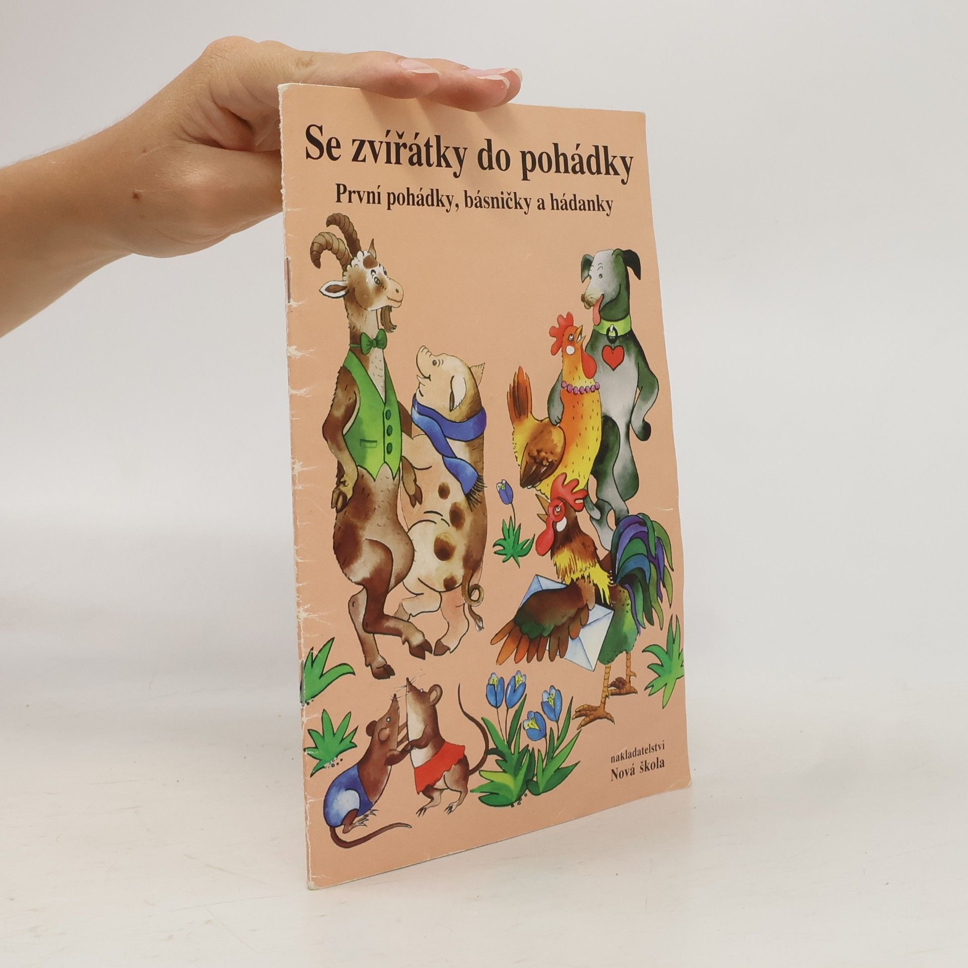 Jiřina Brožová Se zvířátky do pohádky : první pohádky pro mladé bystré čtenáře