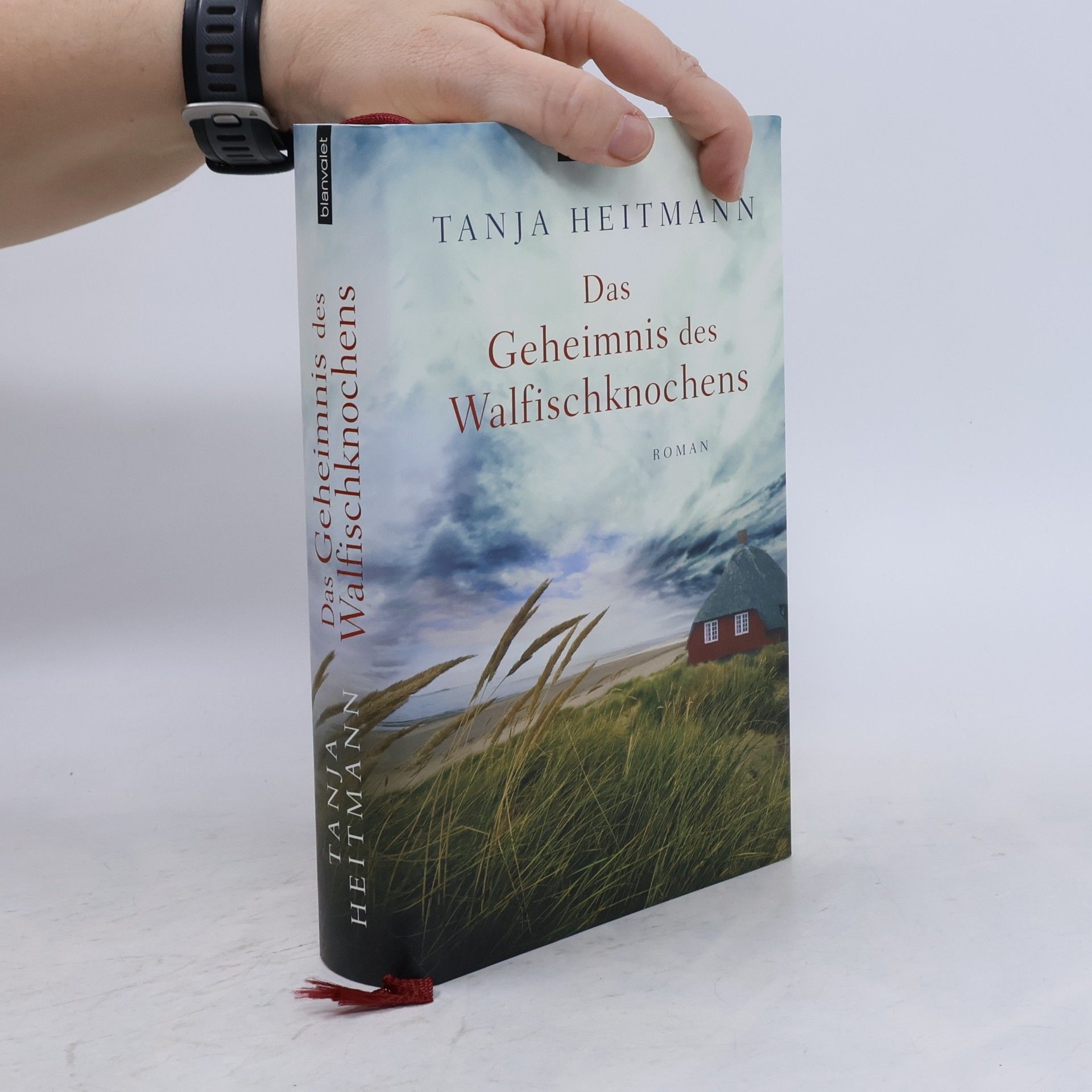 Tanja Heitmann Das Geheimnis des Walfischknochens