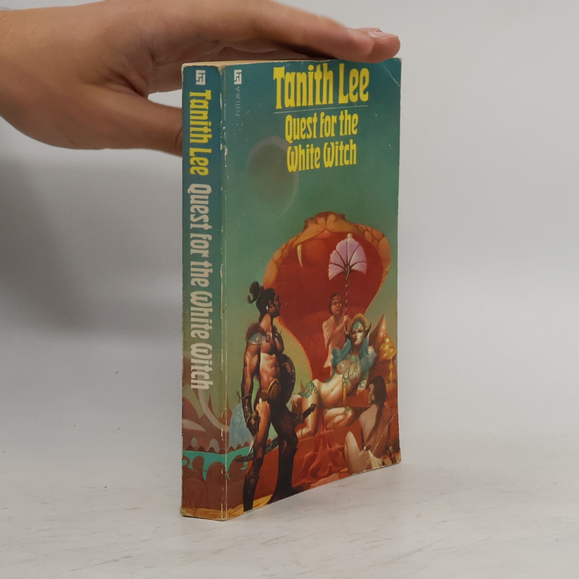 Tanith Lee Quest for the White Witch