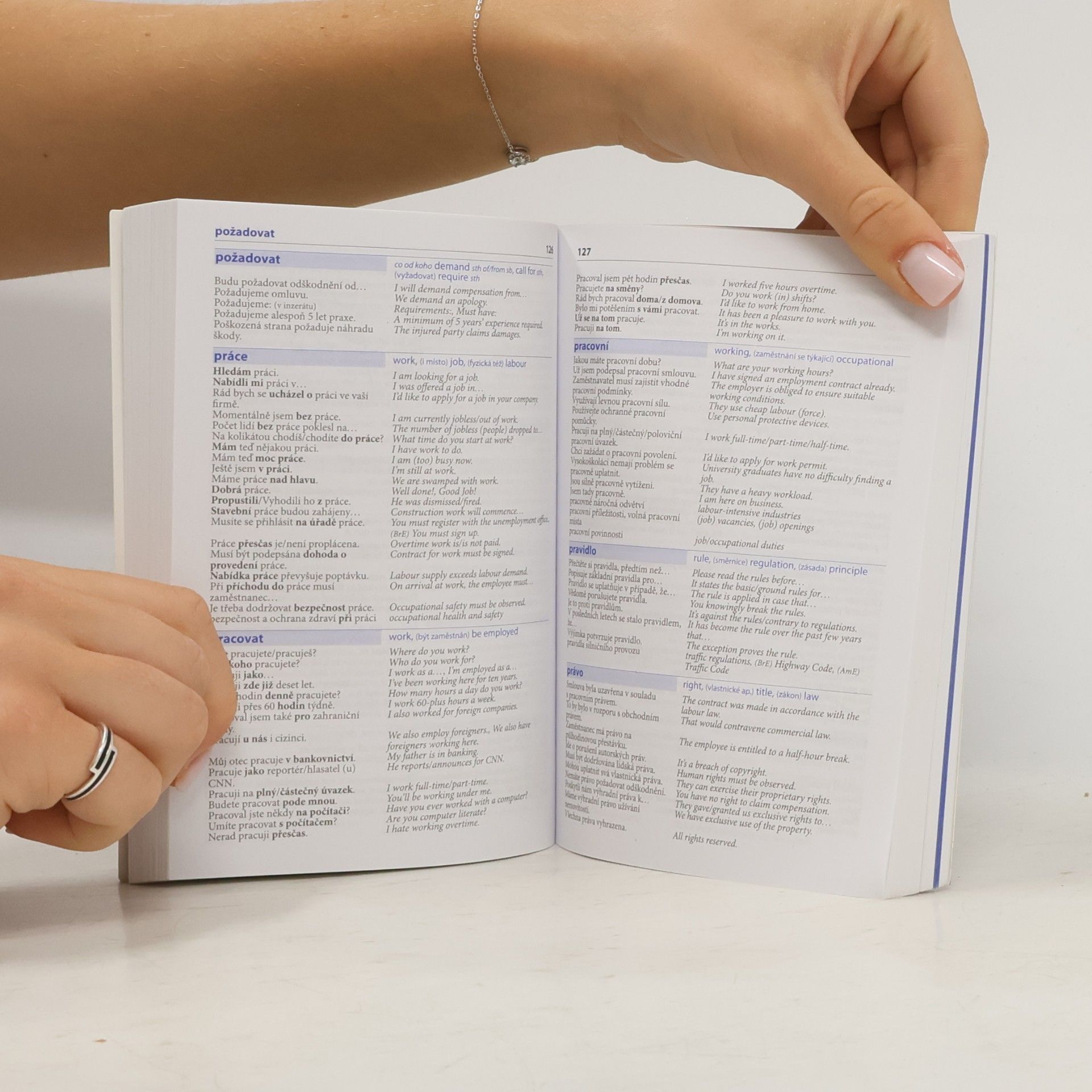 Autores varios Česko-anglický mluvník ekonomický