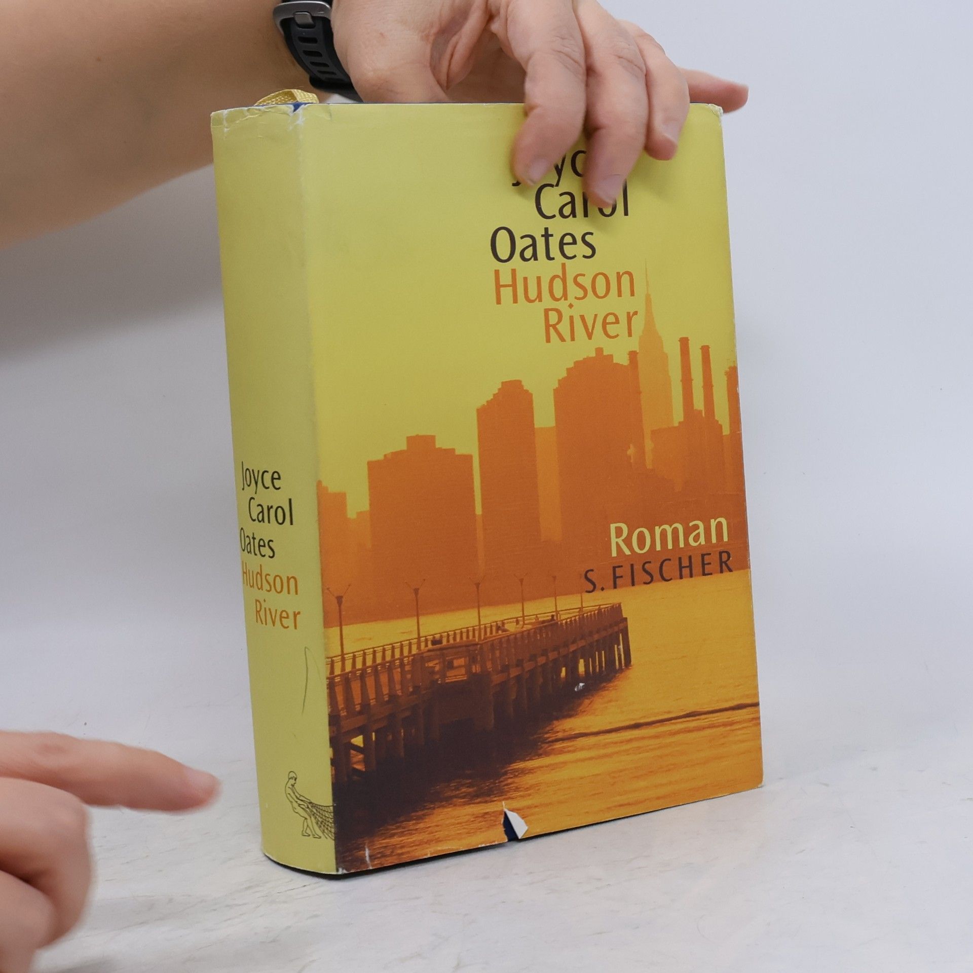 Joyce Carol Oates Hudson River