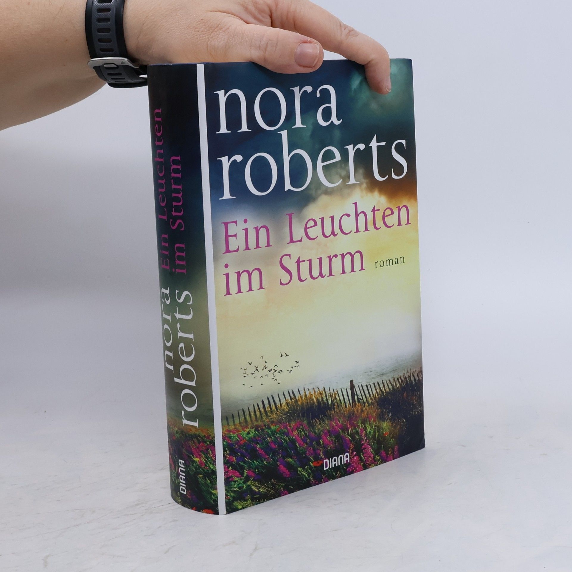 Nora Roberts Ein Leuchten im Sturm