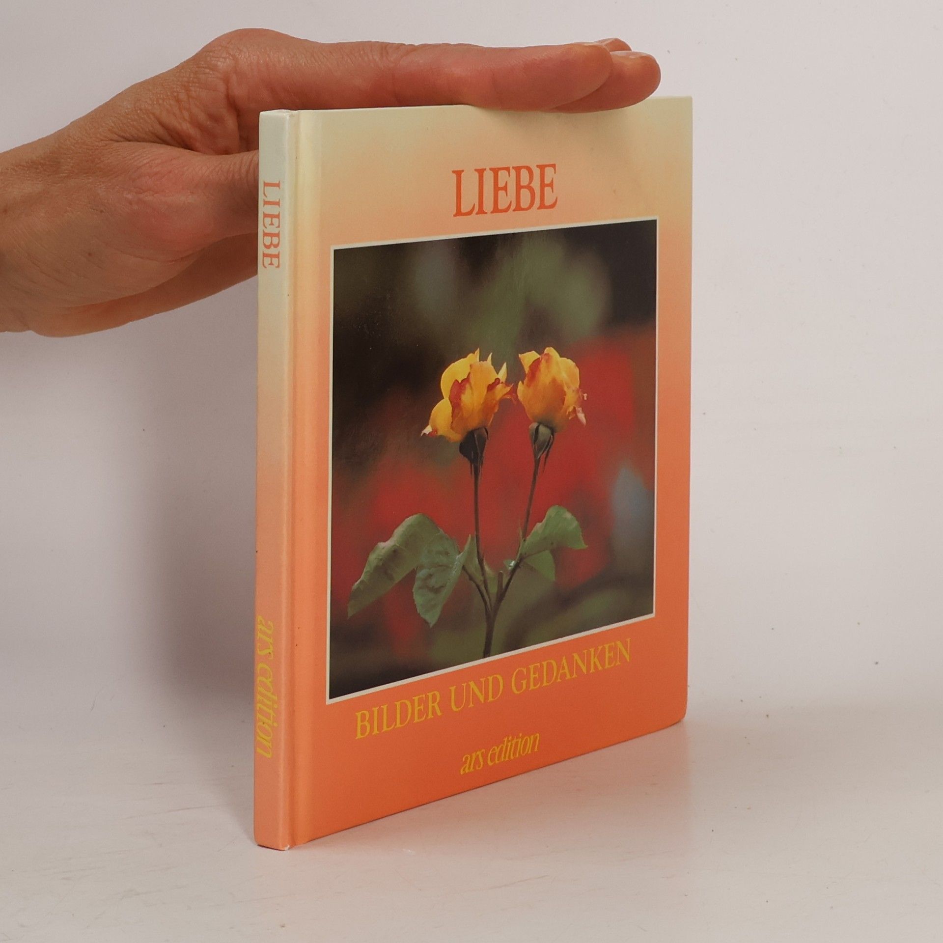 Kolektiv autorů Liebe