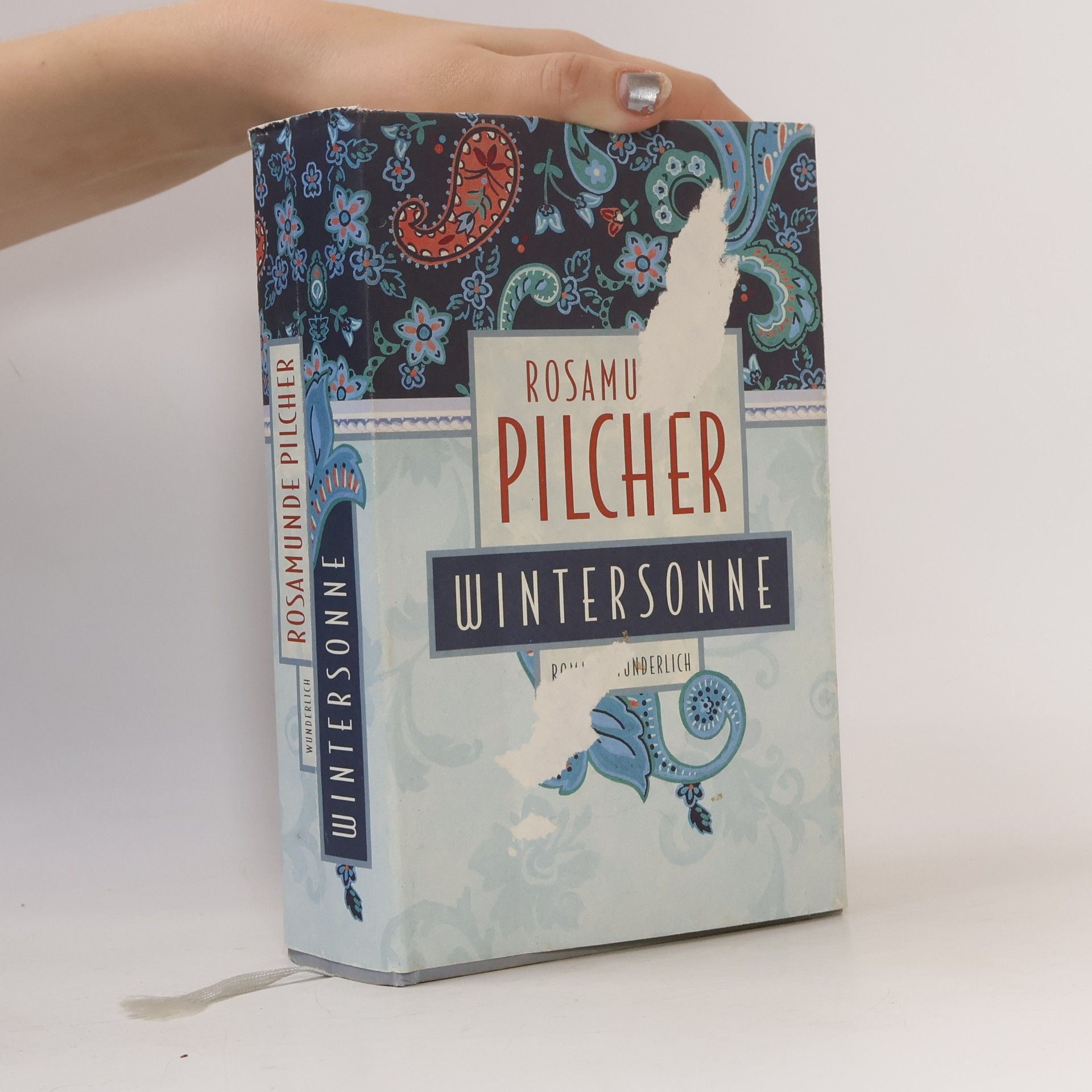 Rosamunde Pilcher Wintersonne