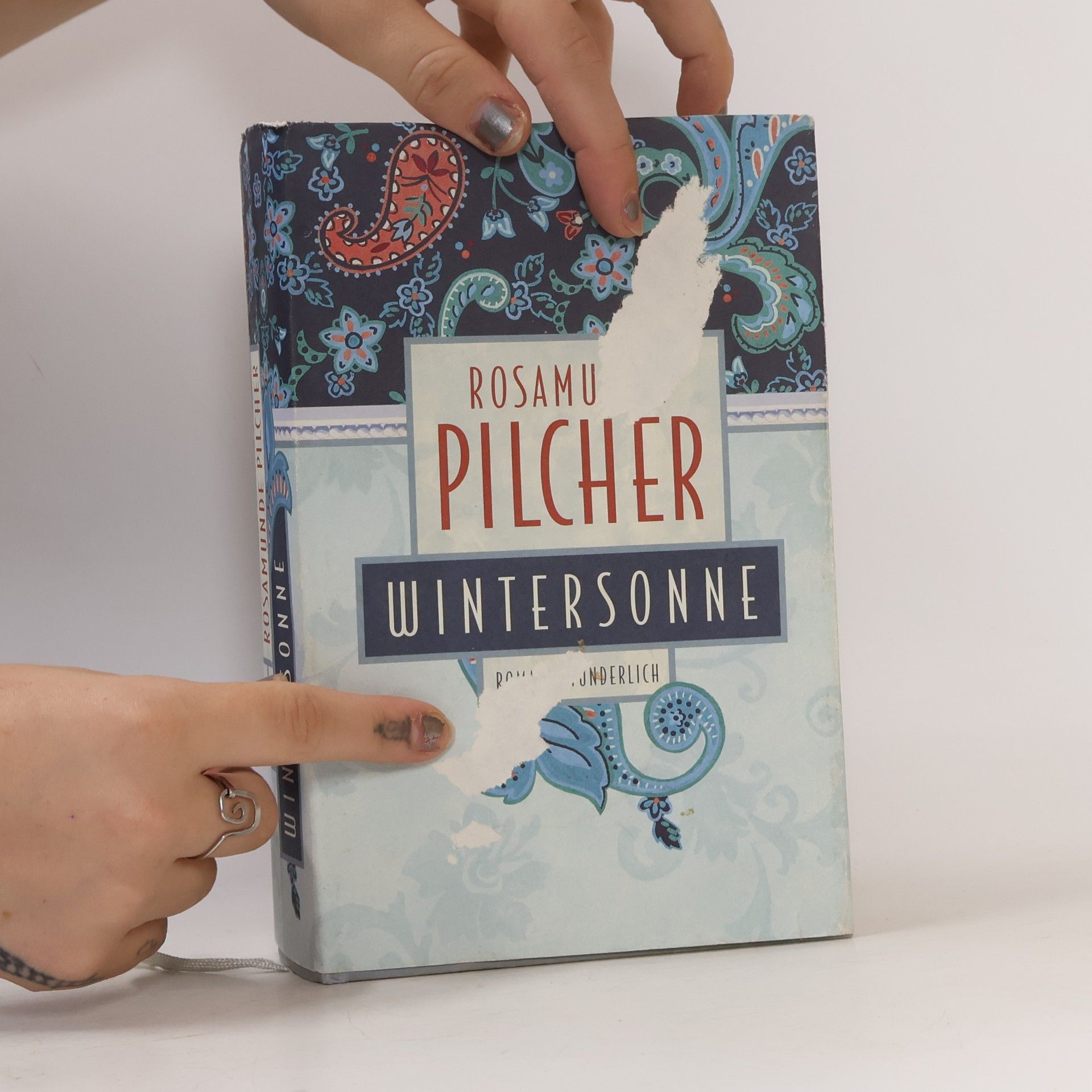 Rosamunde Pilcher Wintersonne