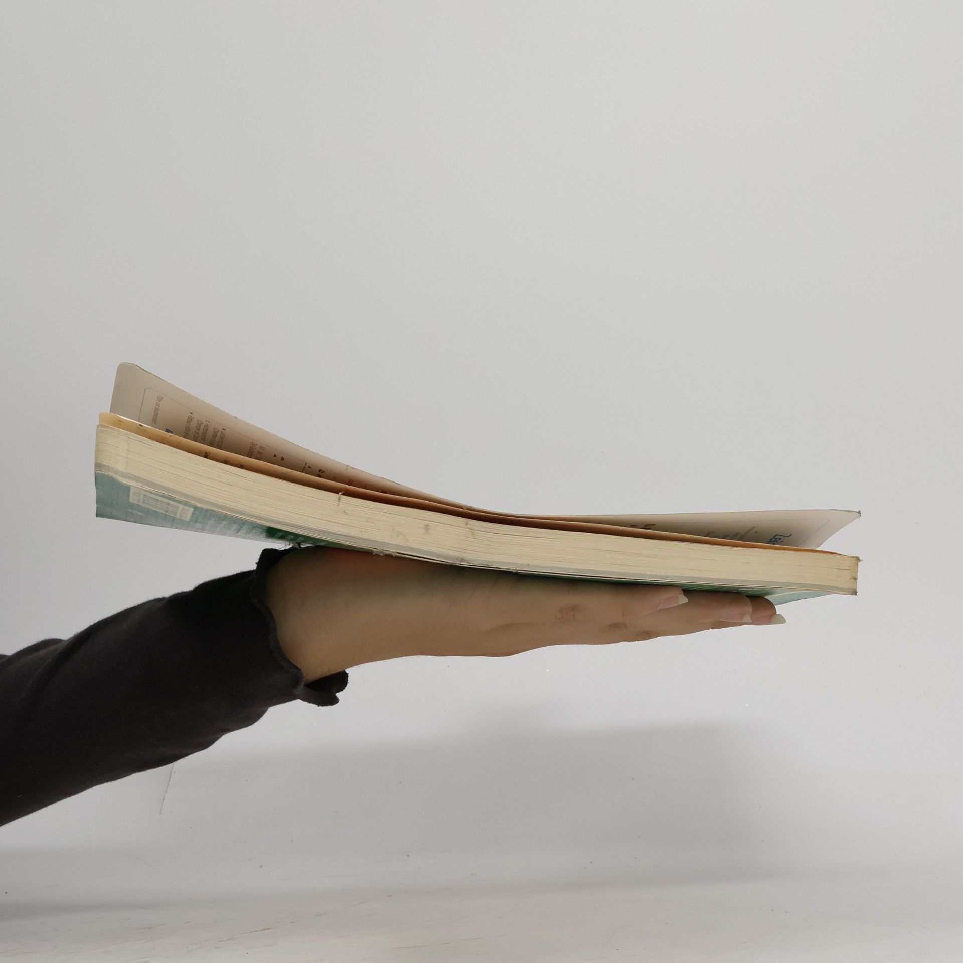 Autores varios Burgund. Jura