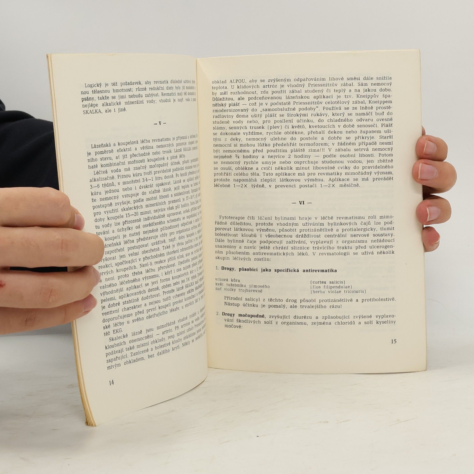 Josef Antonín Zentrich Skalka proti revmatismu