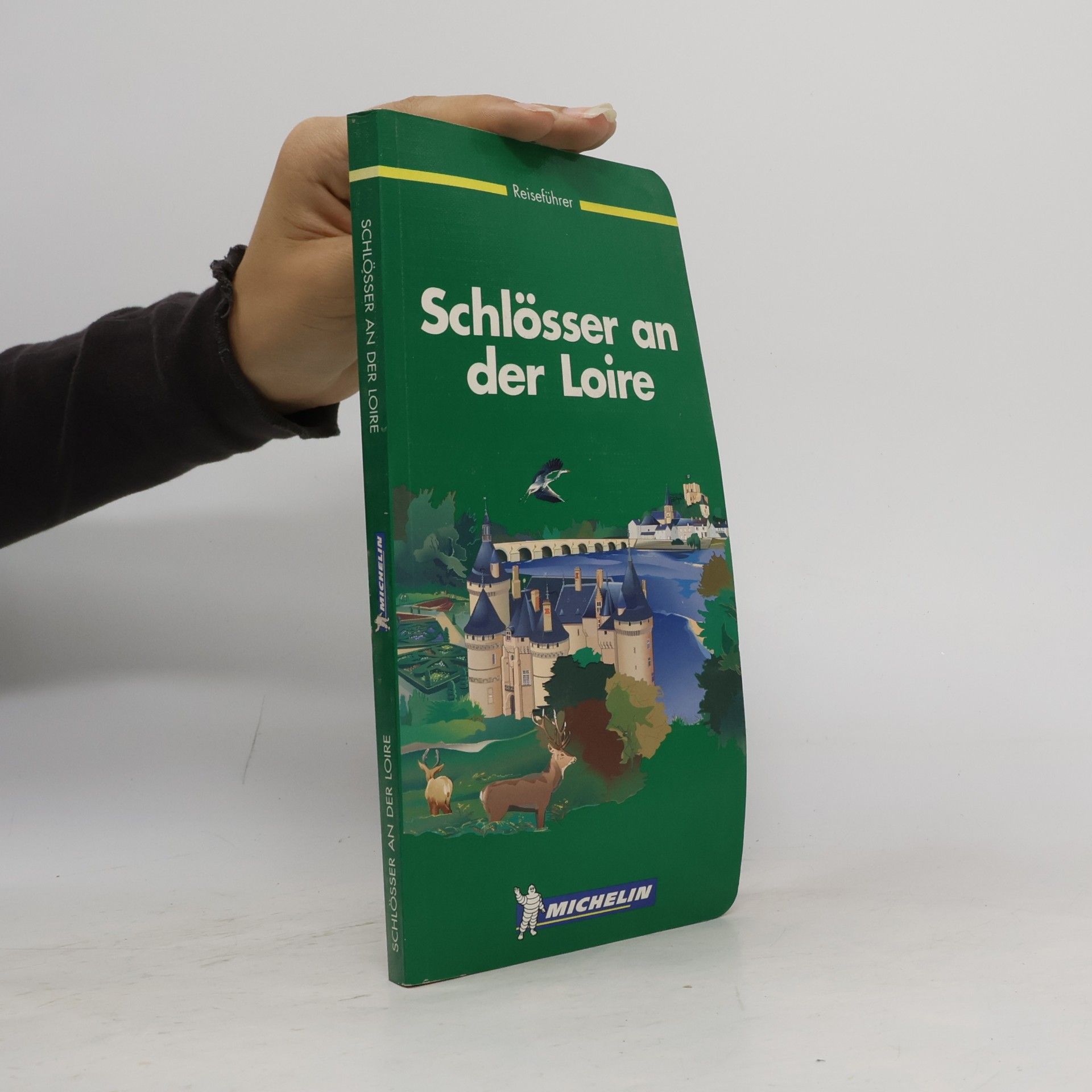 Kolektiv autorů Schlösser an der Loire