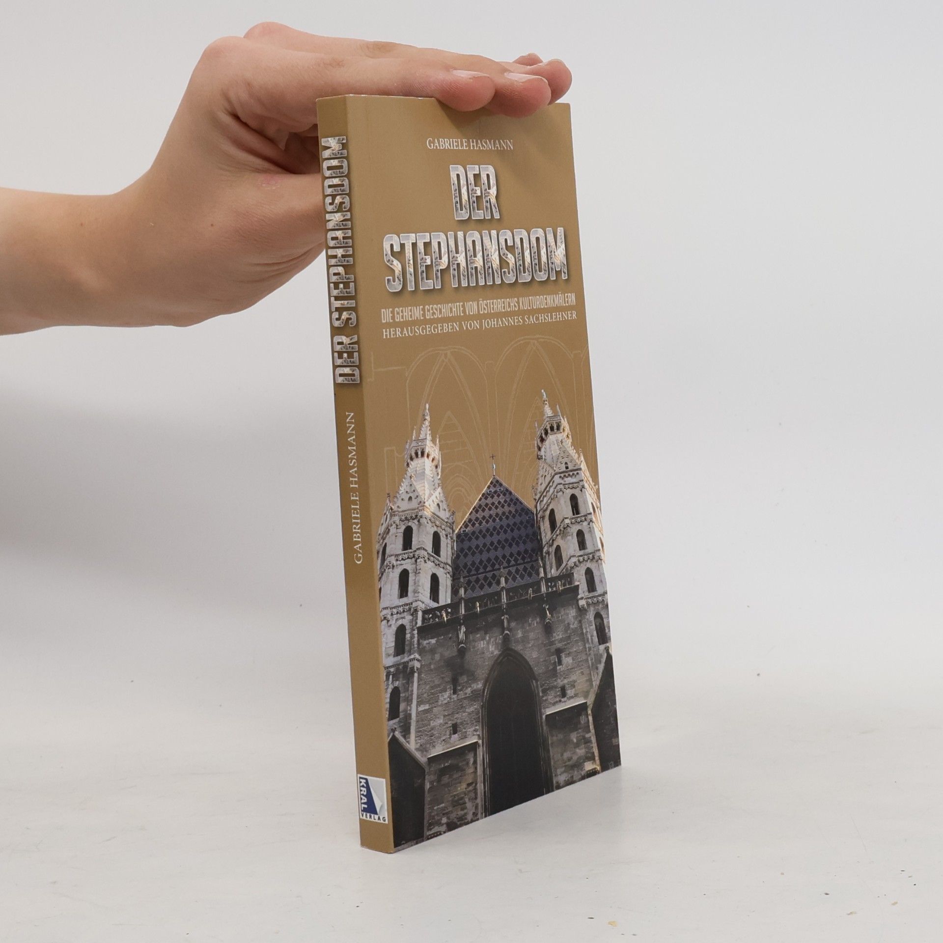 Gabriele Hasmann Der Stephansdom