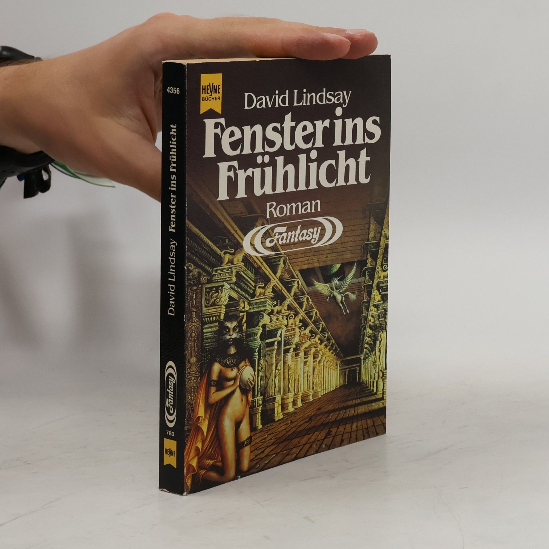 David Lindsay Fenster ins Frühlicht. Fantasy Roman.