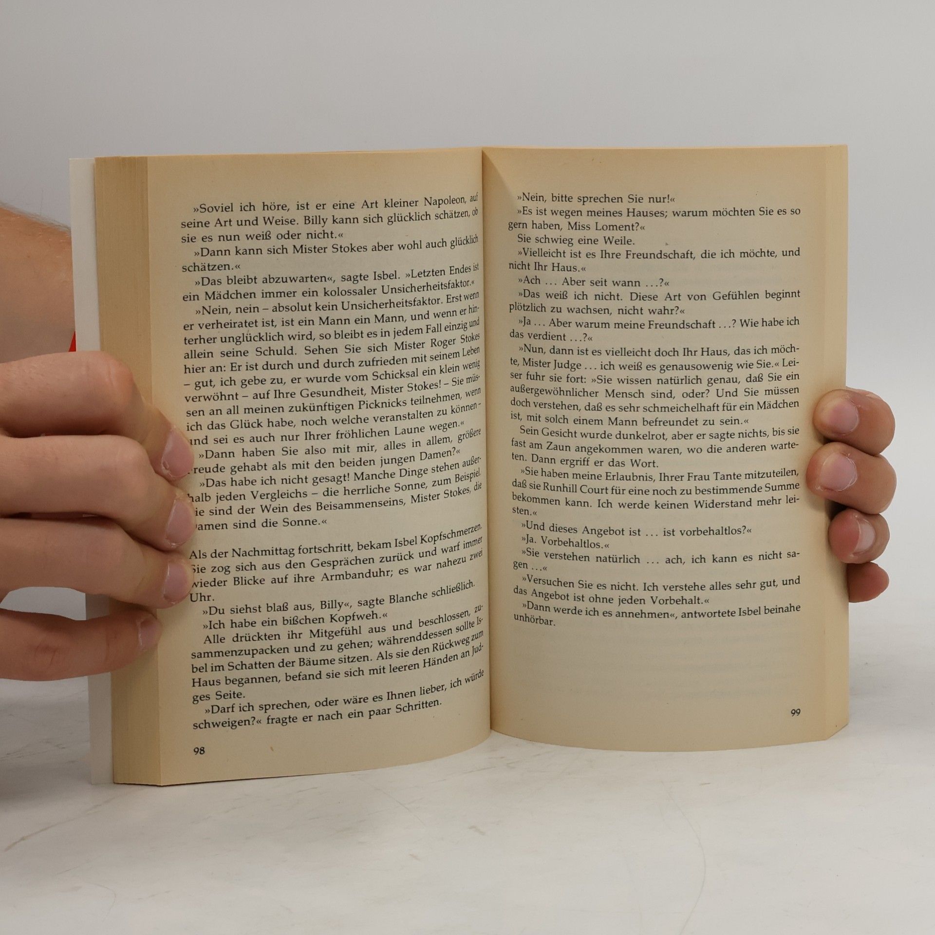 David Lindsay Fenster ins Frühlicht. Fantasy Roman.