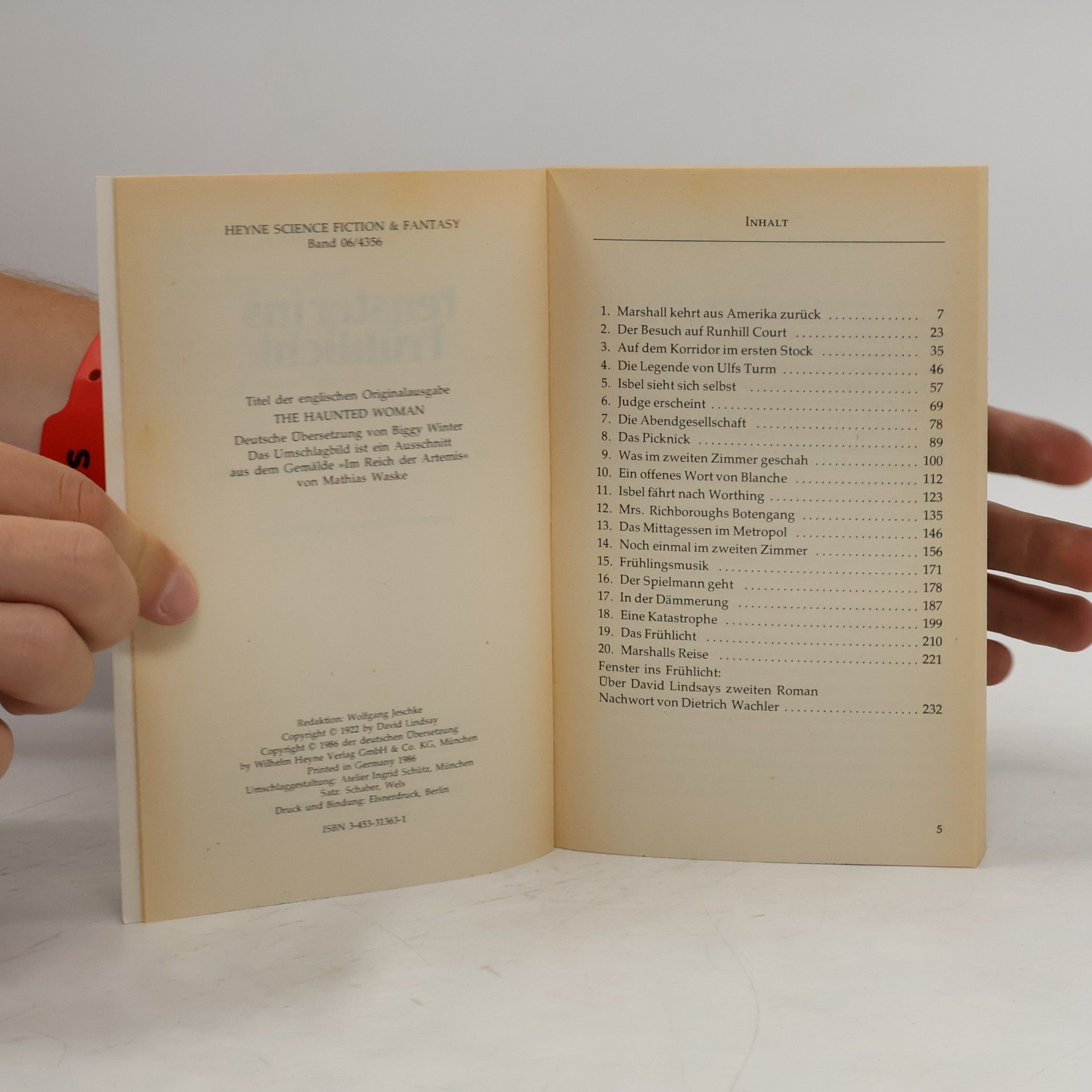 David Lindsay Fenster ins Frühlicht. Fantasy Roman.