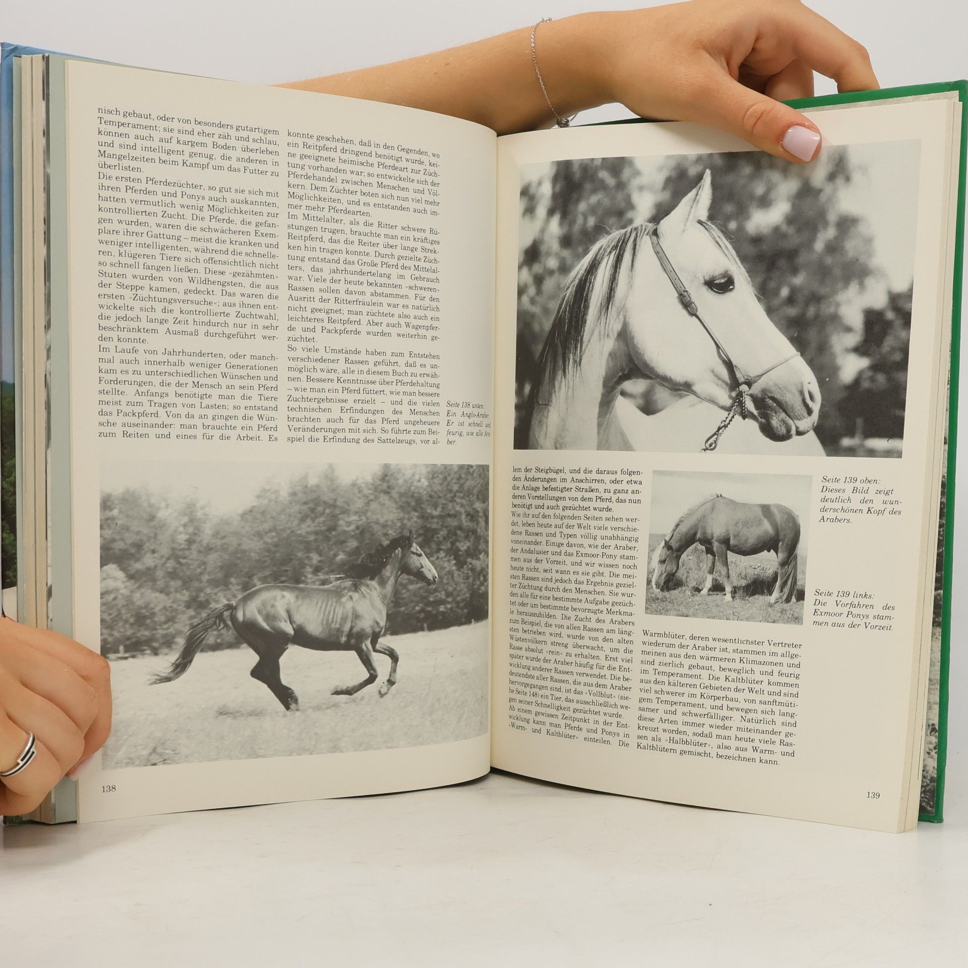 S. Gordon Das große Buch von Pferd und Reiter