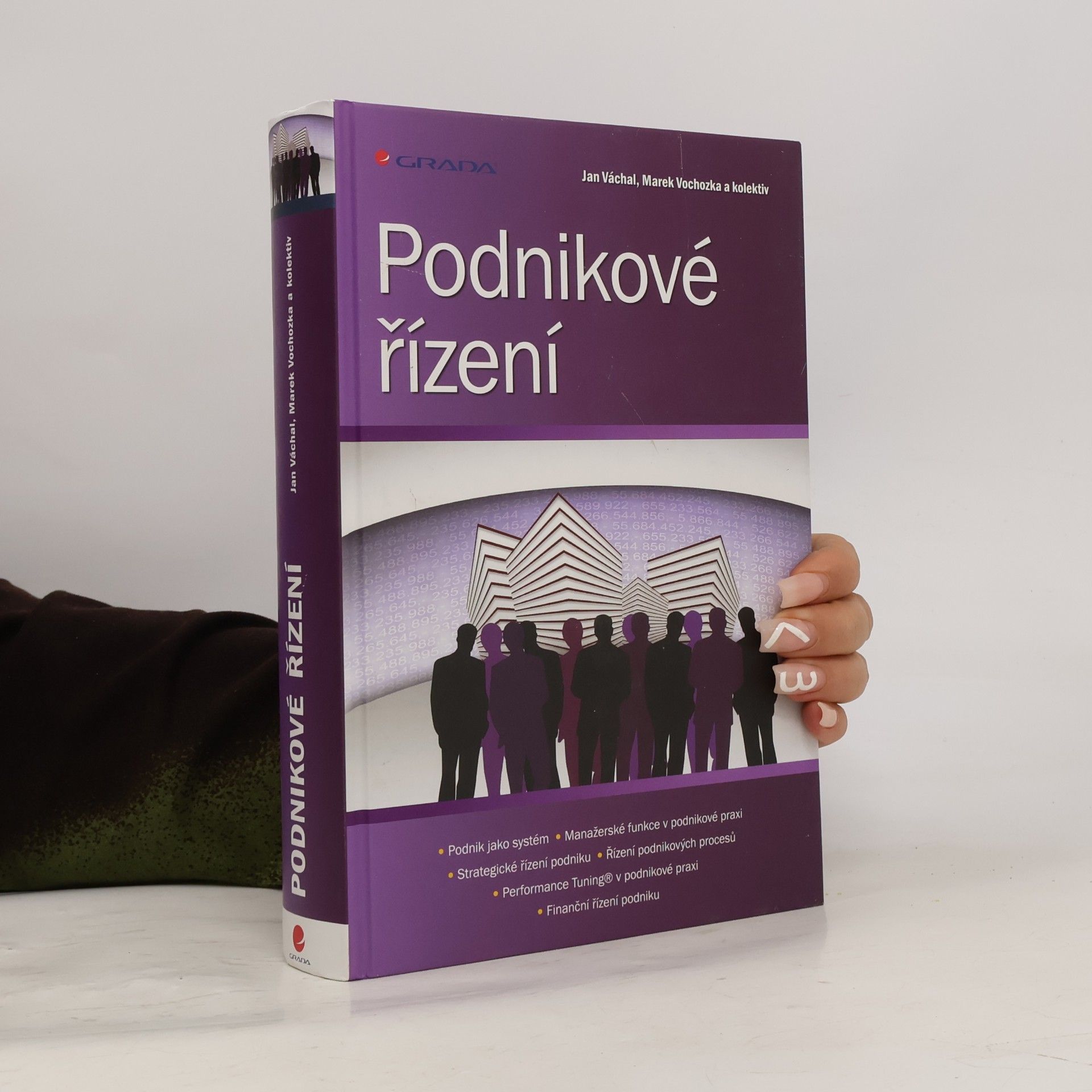 Marek Vochozka Podnikové řízení