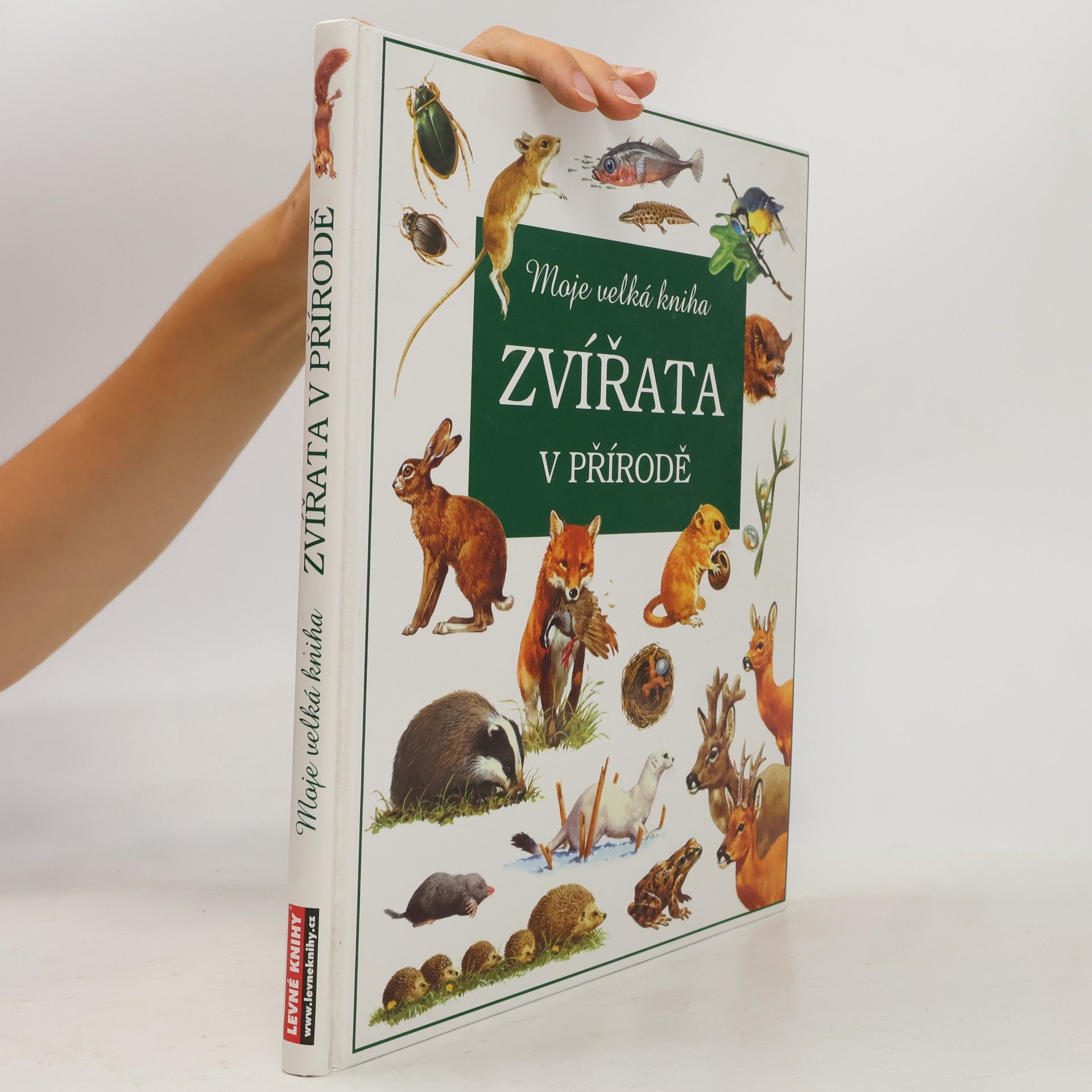 Kolektiv autorů Zvířata v přírodě