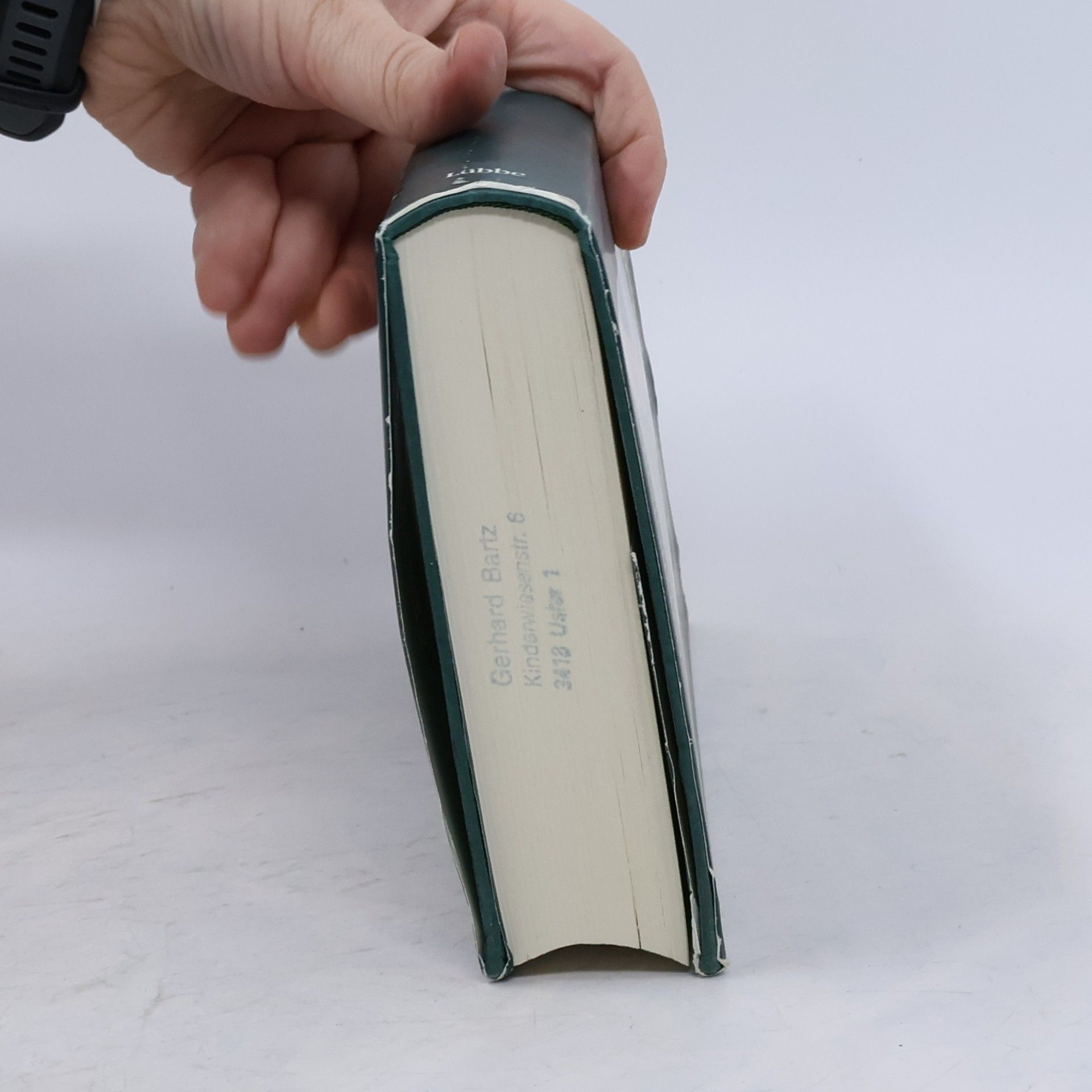 Bob Marshall-Andrews Der Palast der Weisheit