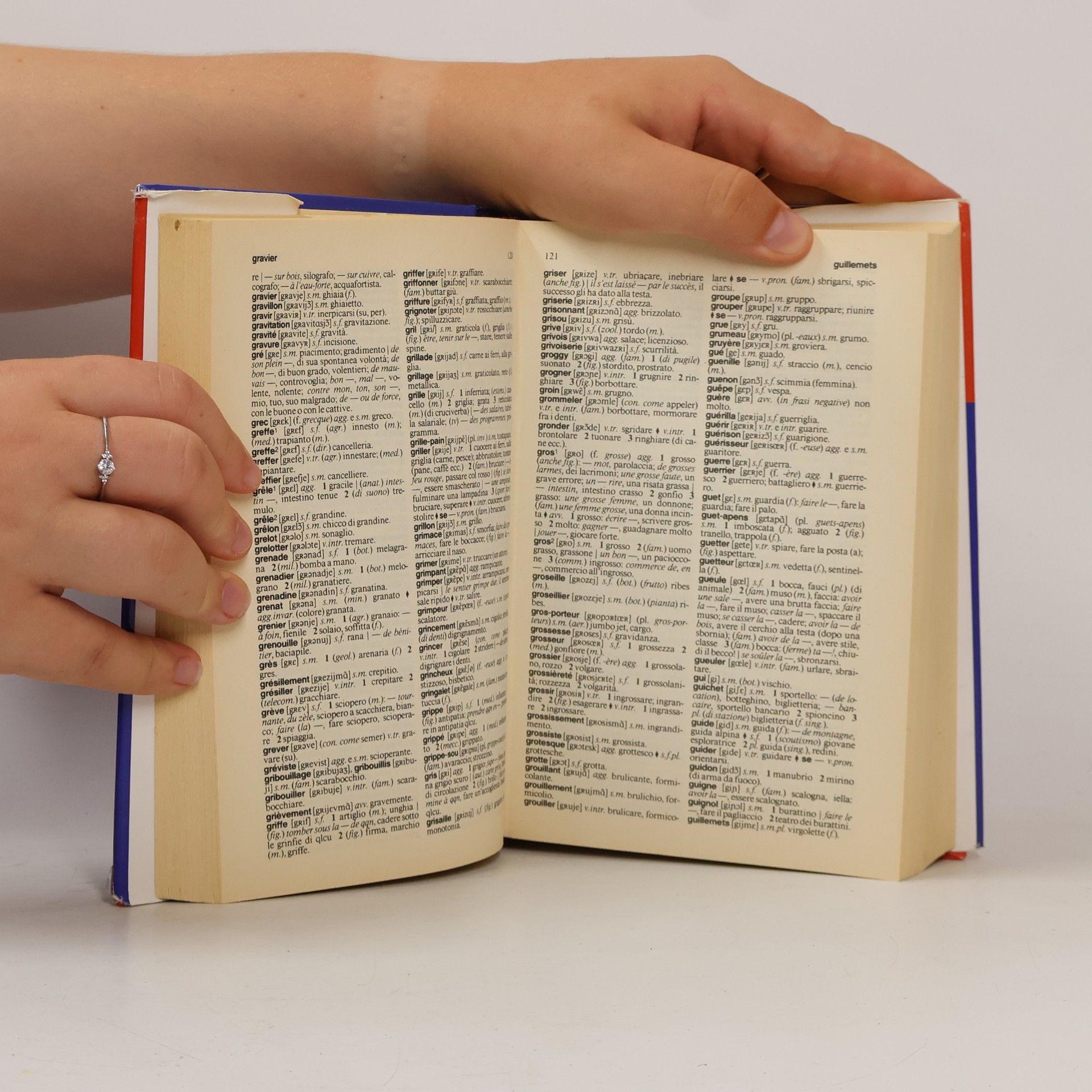 Dizionario Super: Dizionario di francese Opportunity