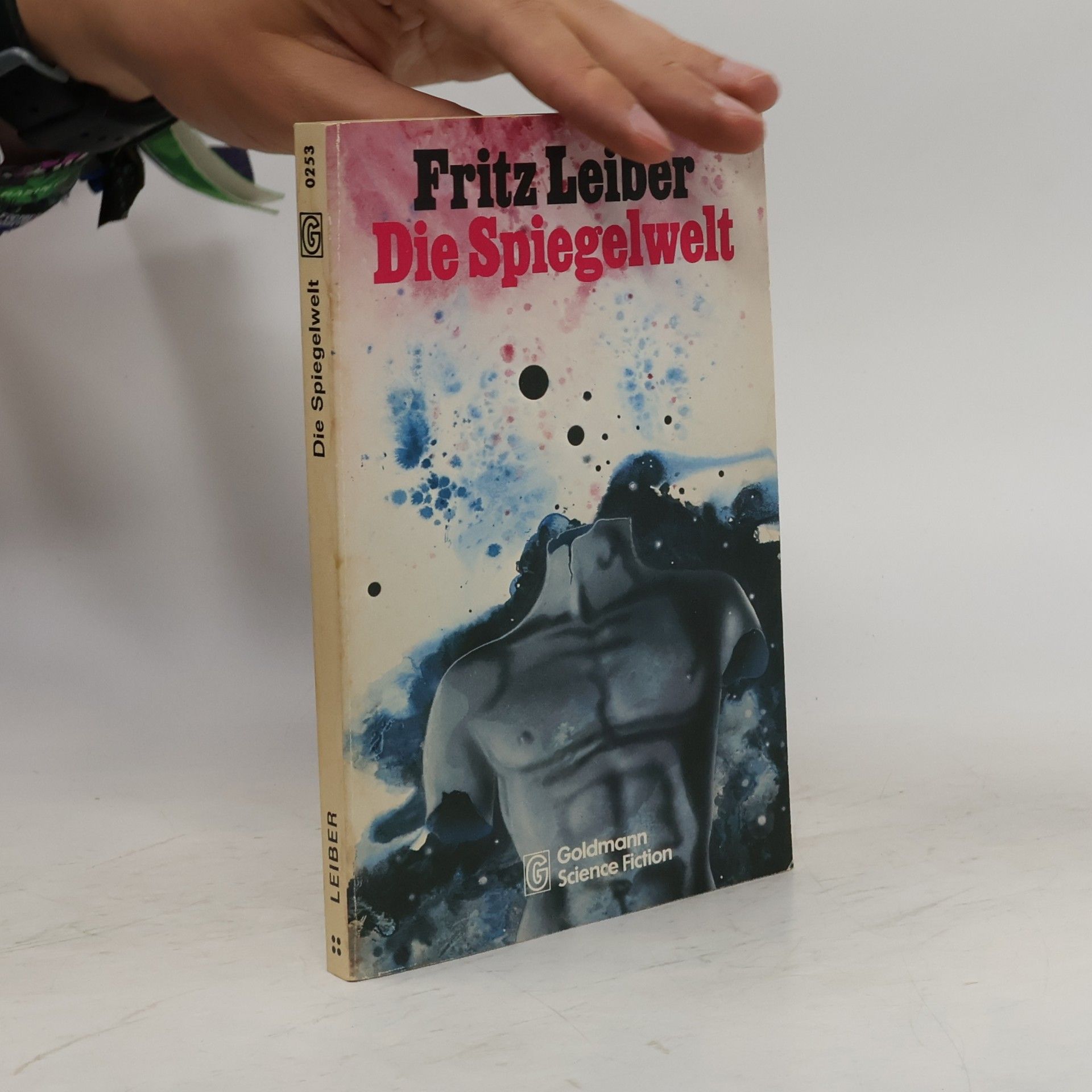 Die Spiegelwelt