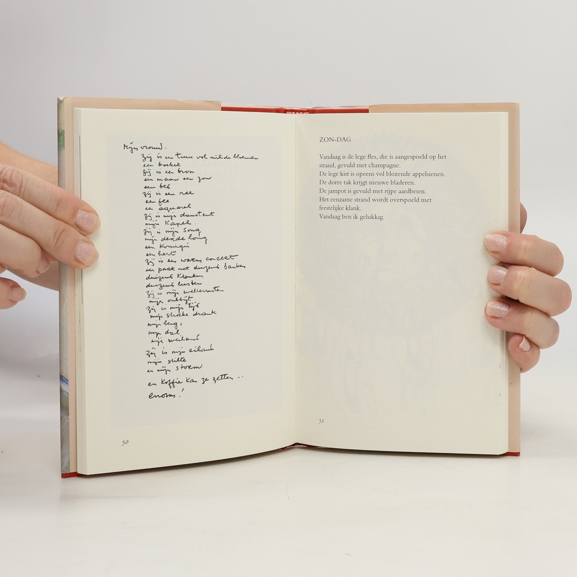 Toon Hermans Toonboek