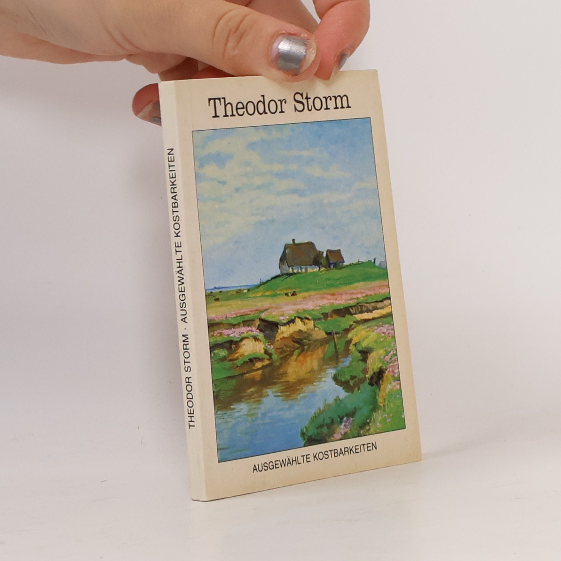 Hans Theodor Woldsen Storm Ausgewählte Kostbarkeiten