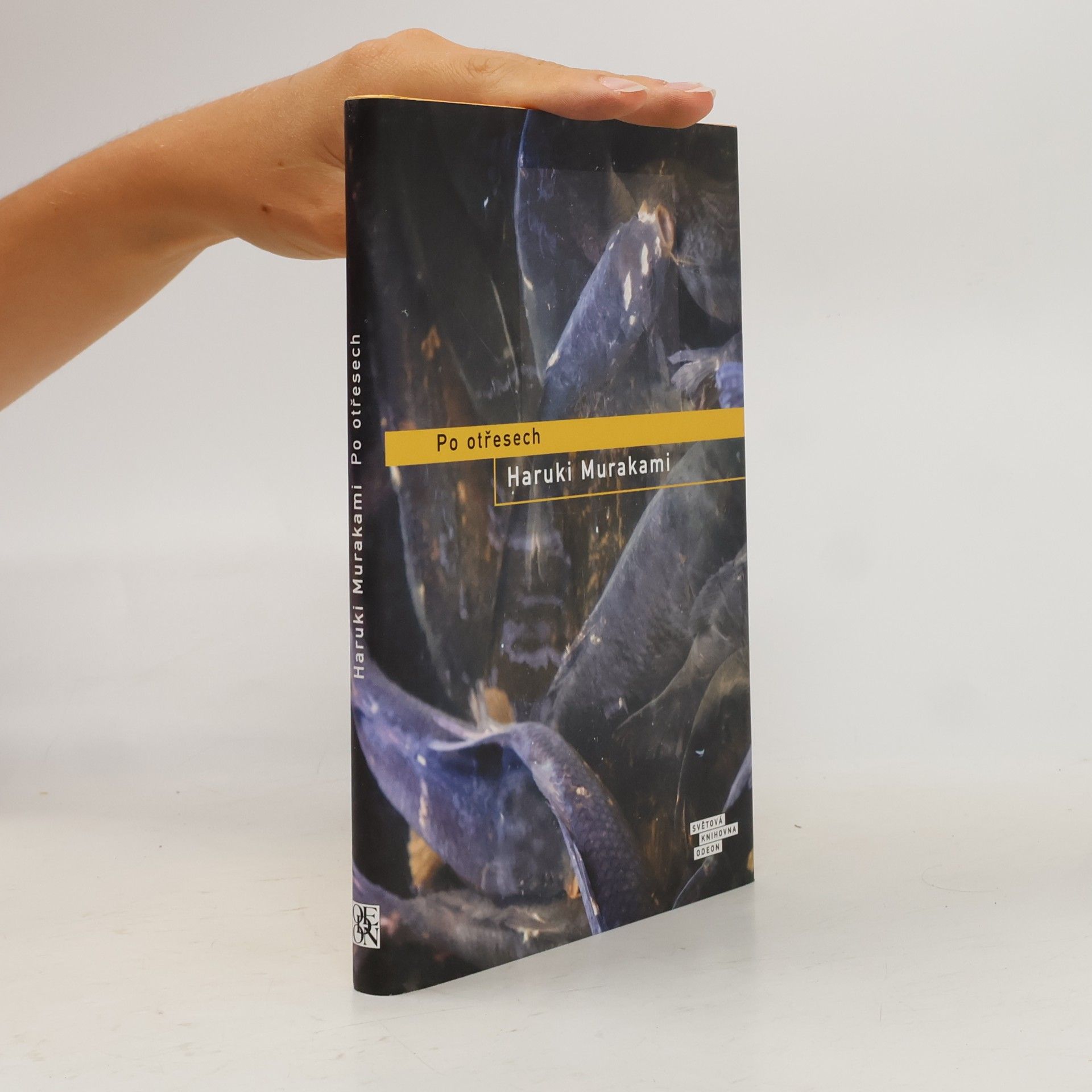 Haruki Murakami Po otřesech