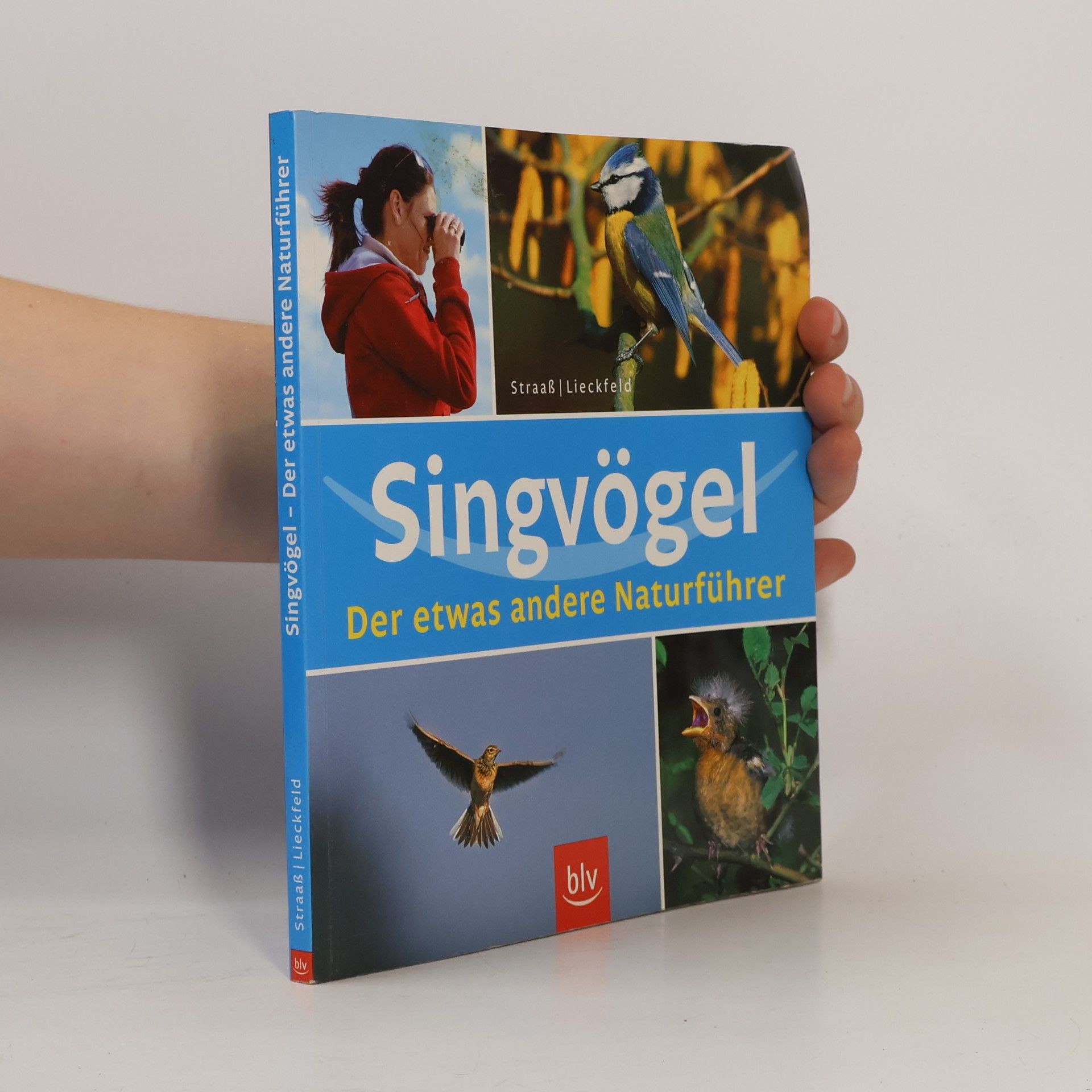Lieckfeld Singvögel