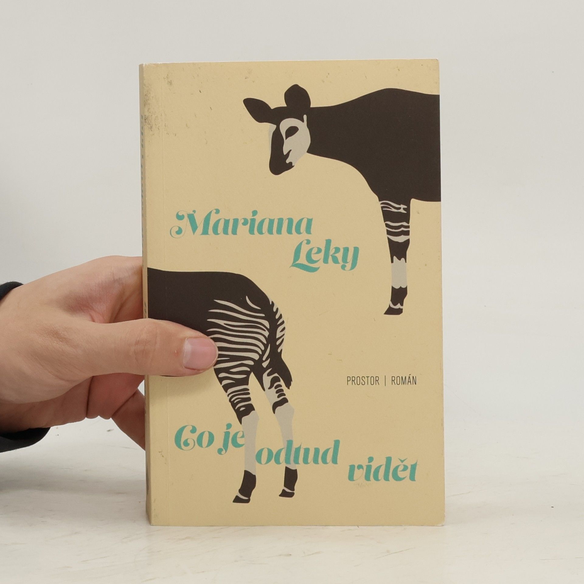 Mariana Leky Co je odtud vidět