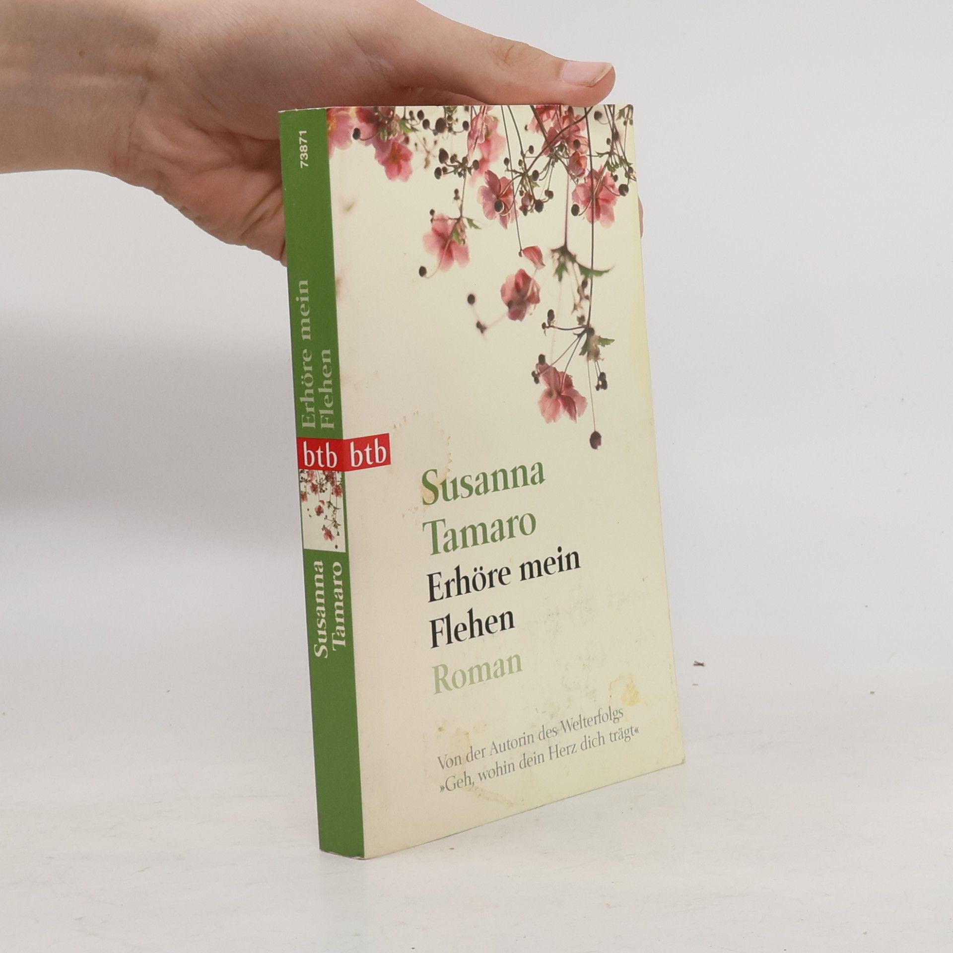 Susanna Tamaro Erhöre mein Flehen
