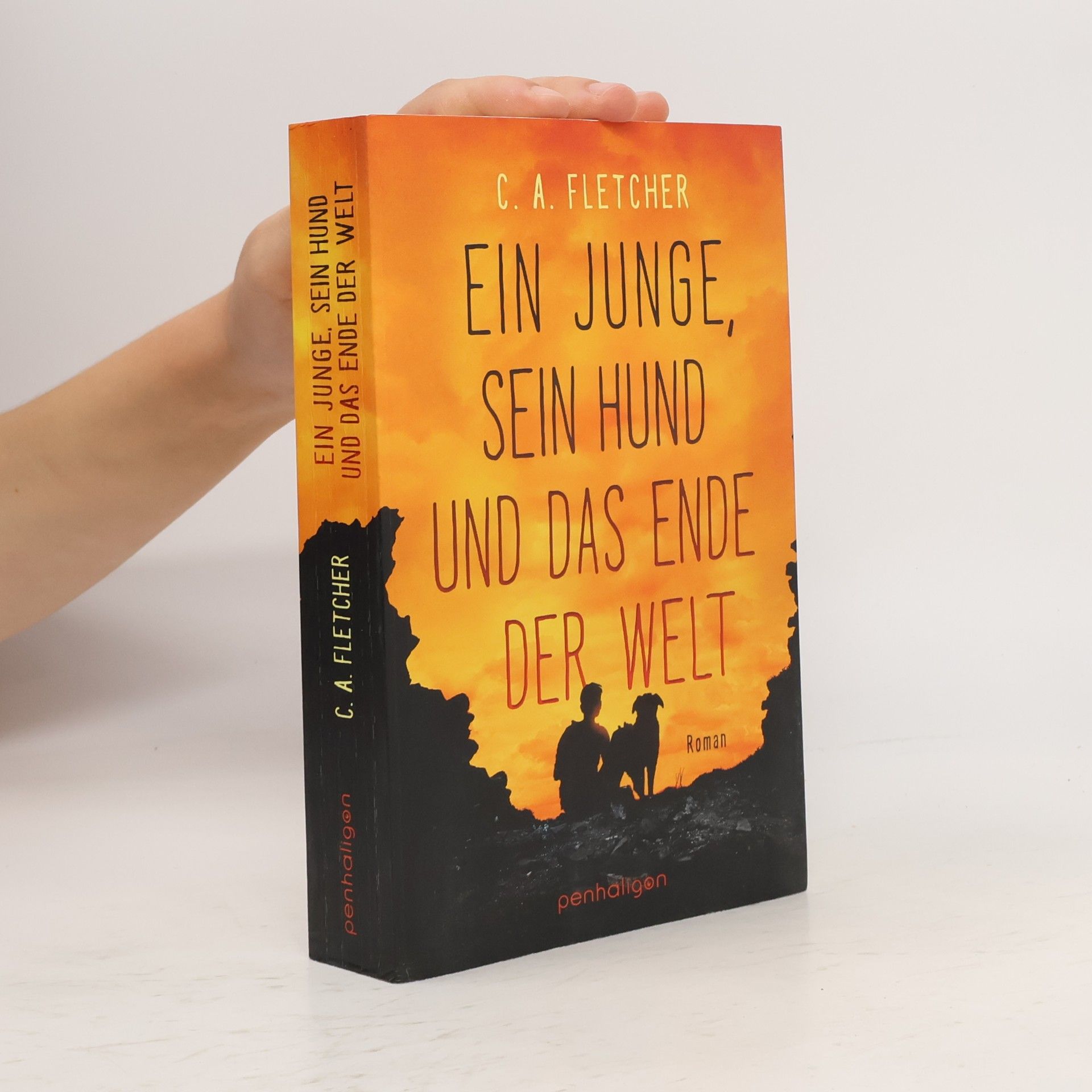 Charlie Fletcher Ein Junge, sein Hund und das Ende der Welt