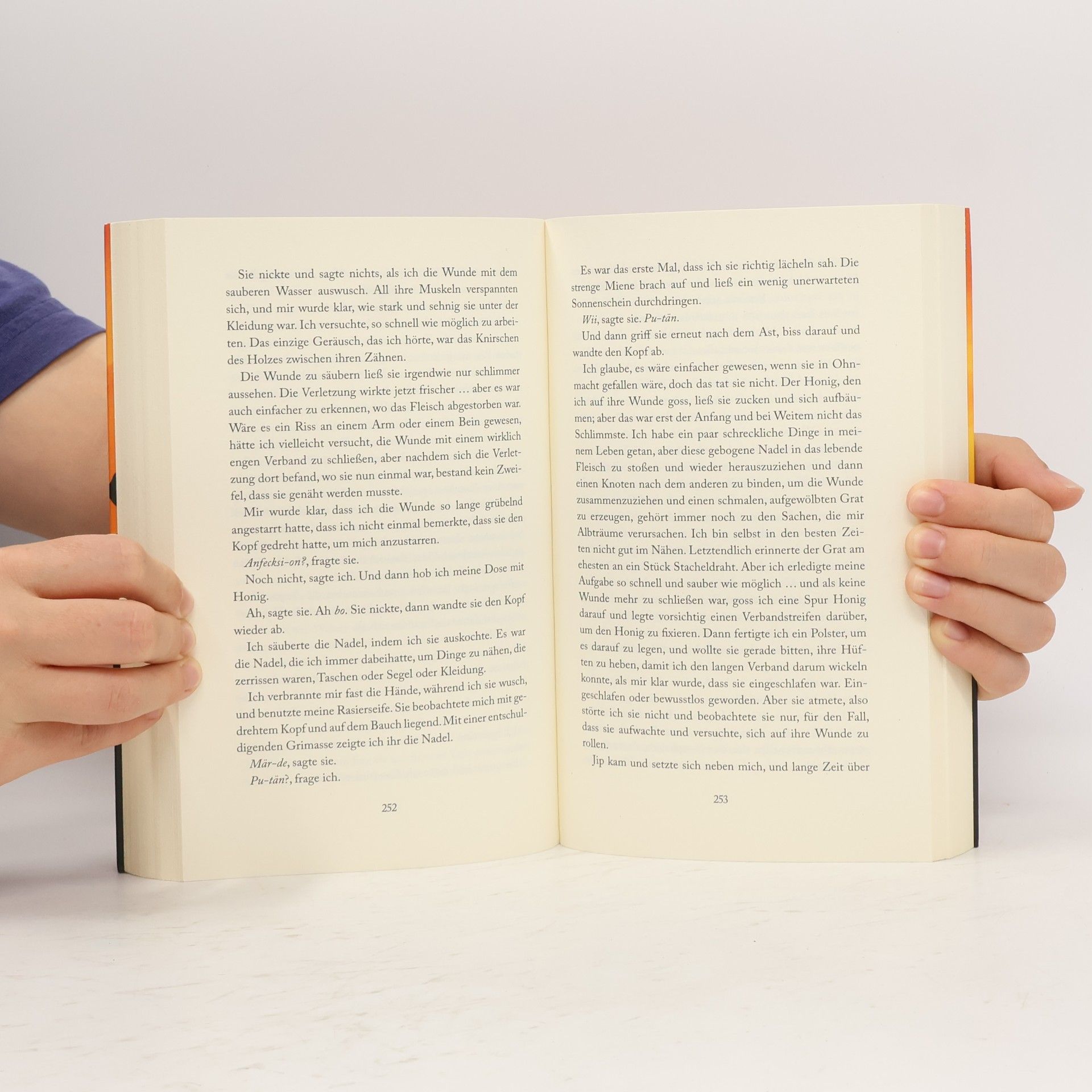 Charlie Fletcher Ein Junge, sein Hund und das Ende der Welt
