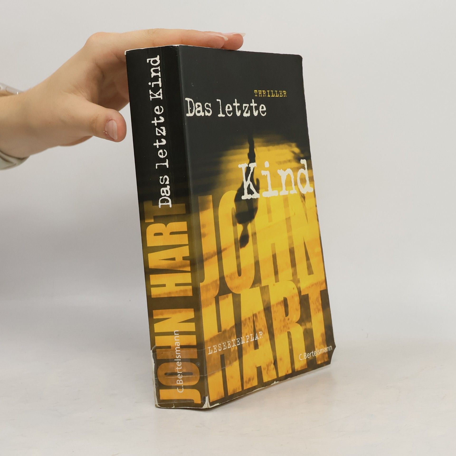 John Hart Das letzte Kind