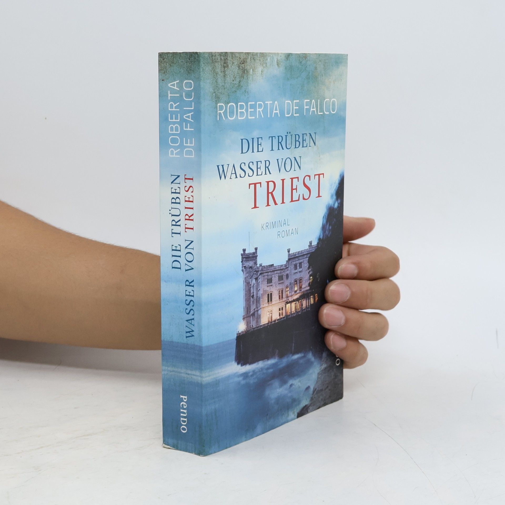 Roberta de Falco Die trüben Wasser von Triest