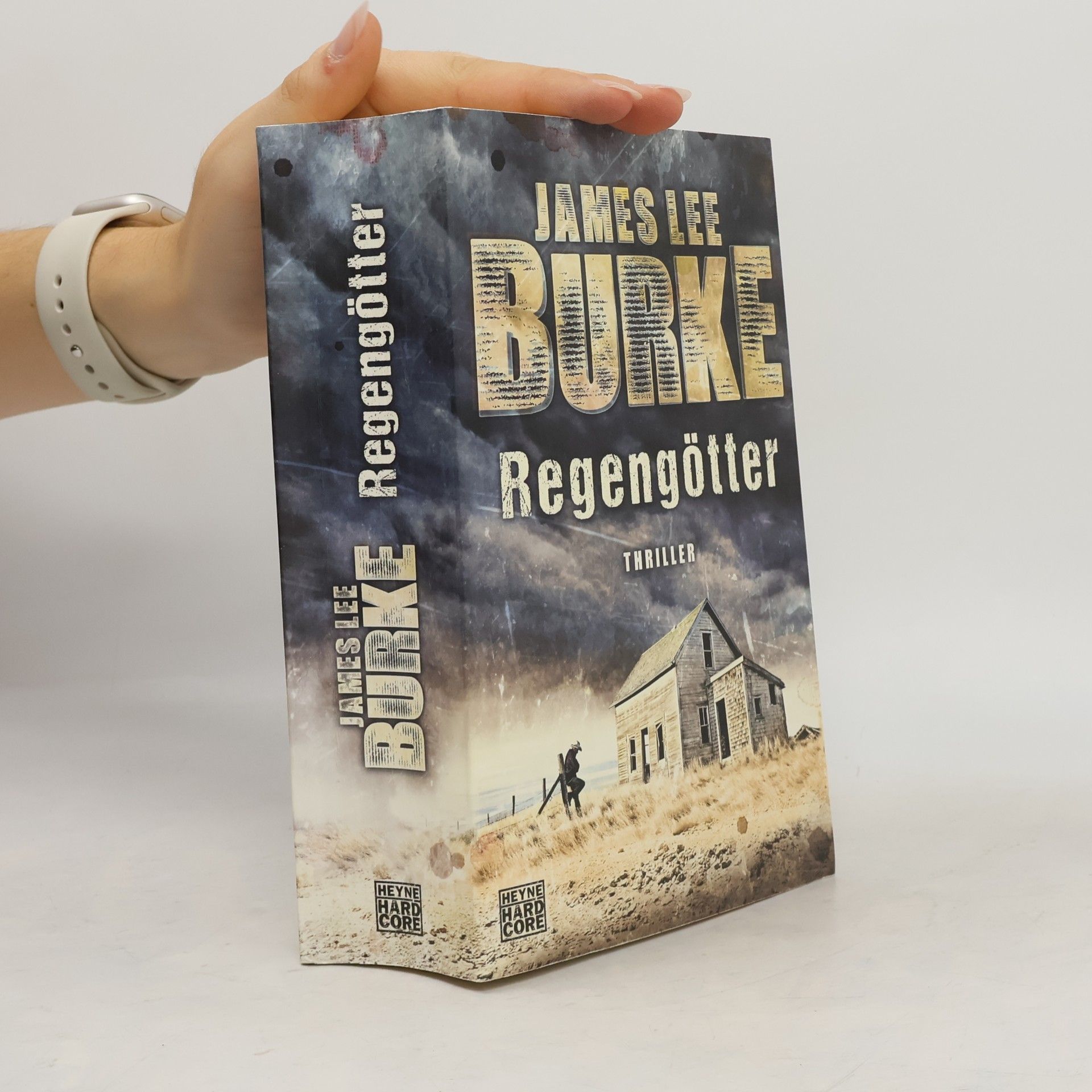 James Lee Burke Regengötter