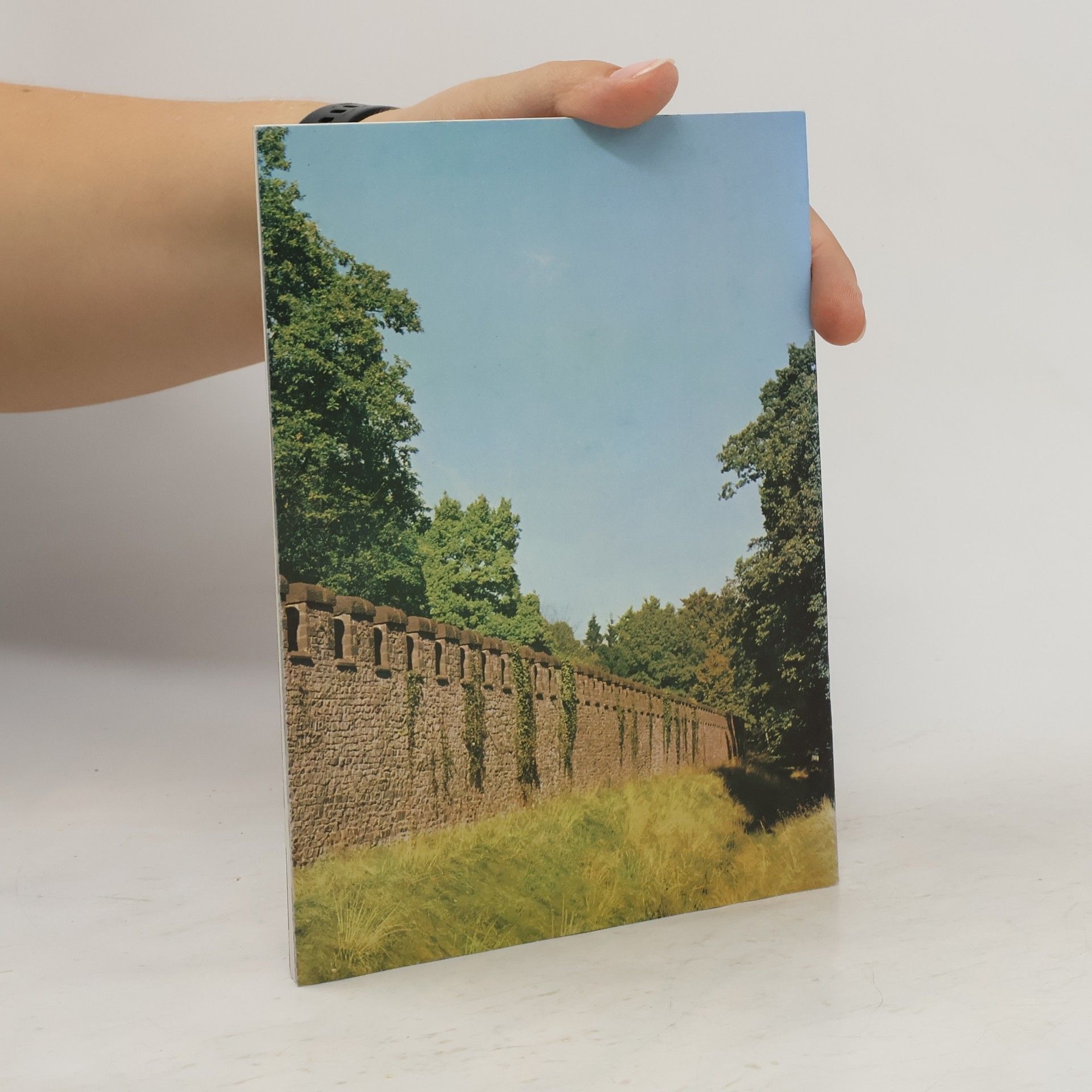 kolektiv Limeskastell Saalburg