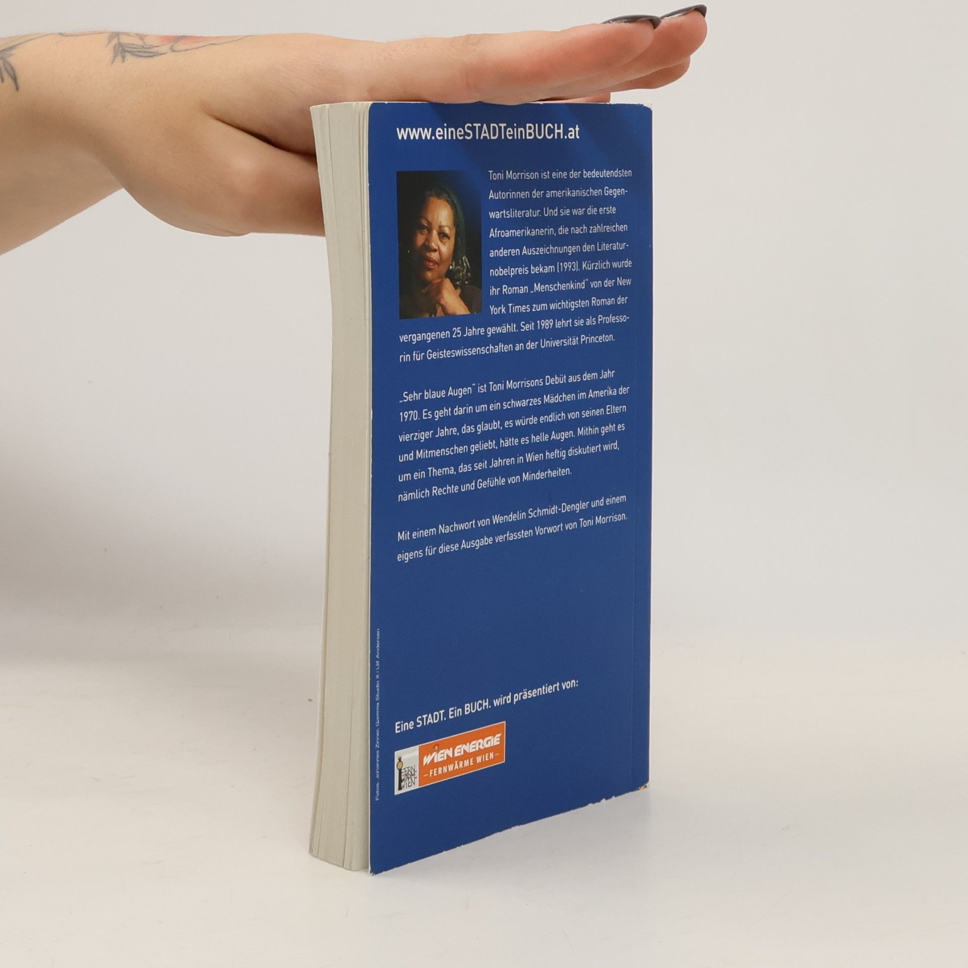 Toni Morrison Sehr blaue Augen