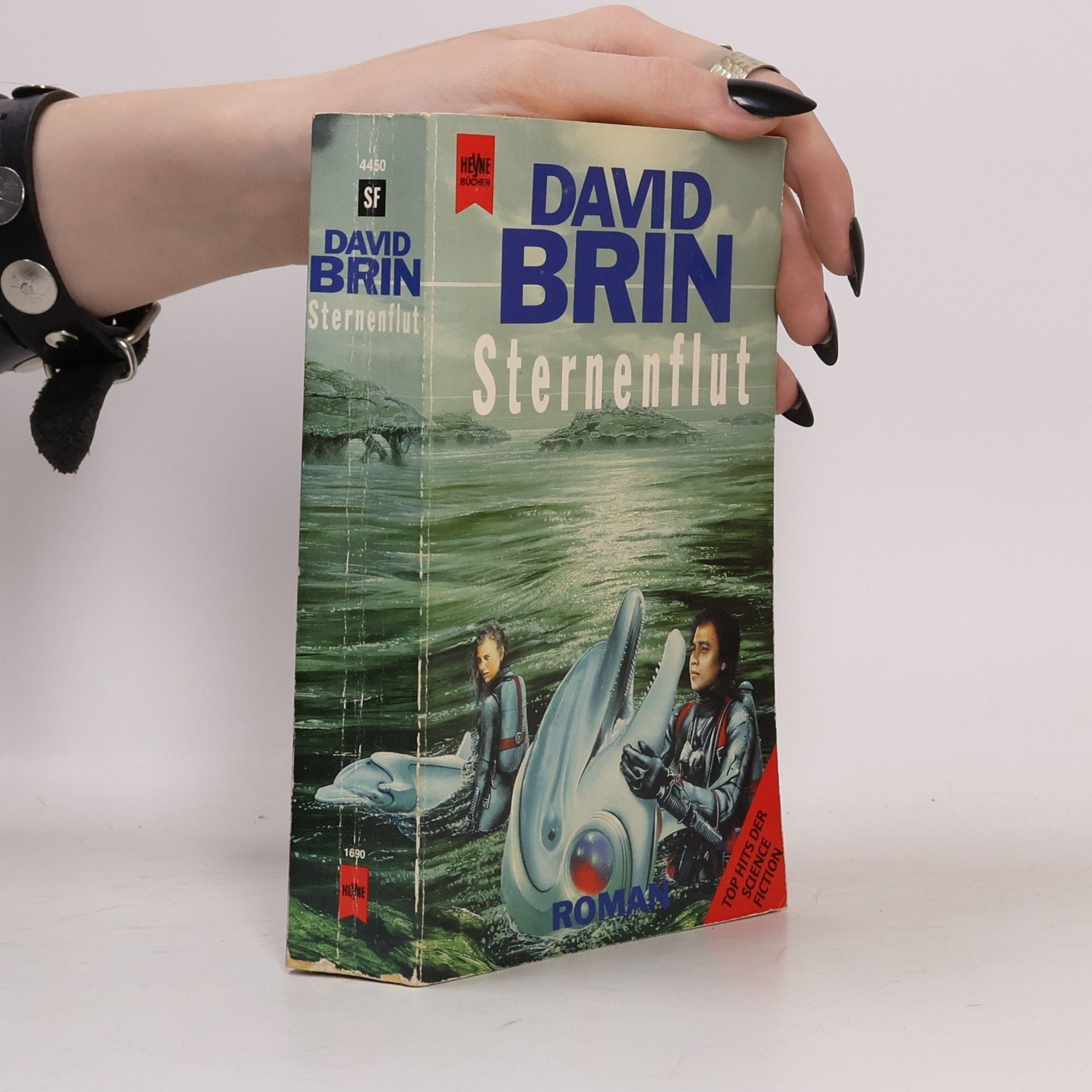 David Brin Sternenflut