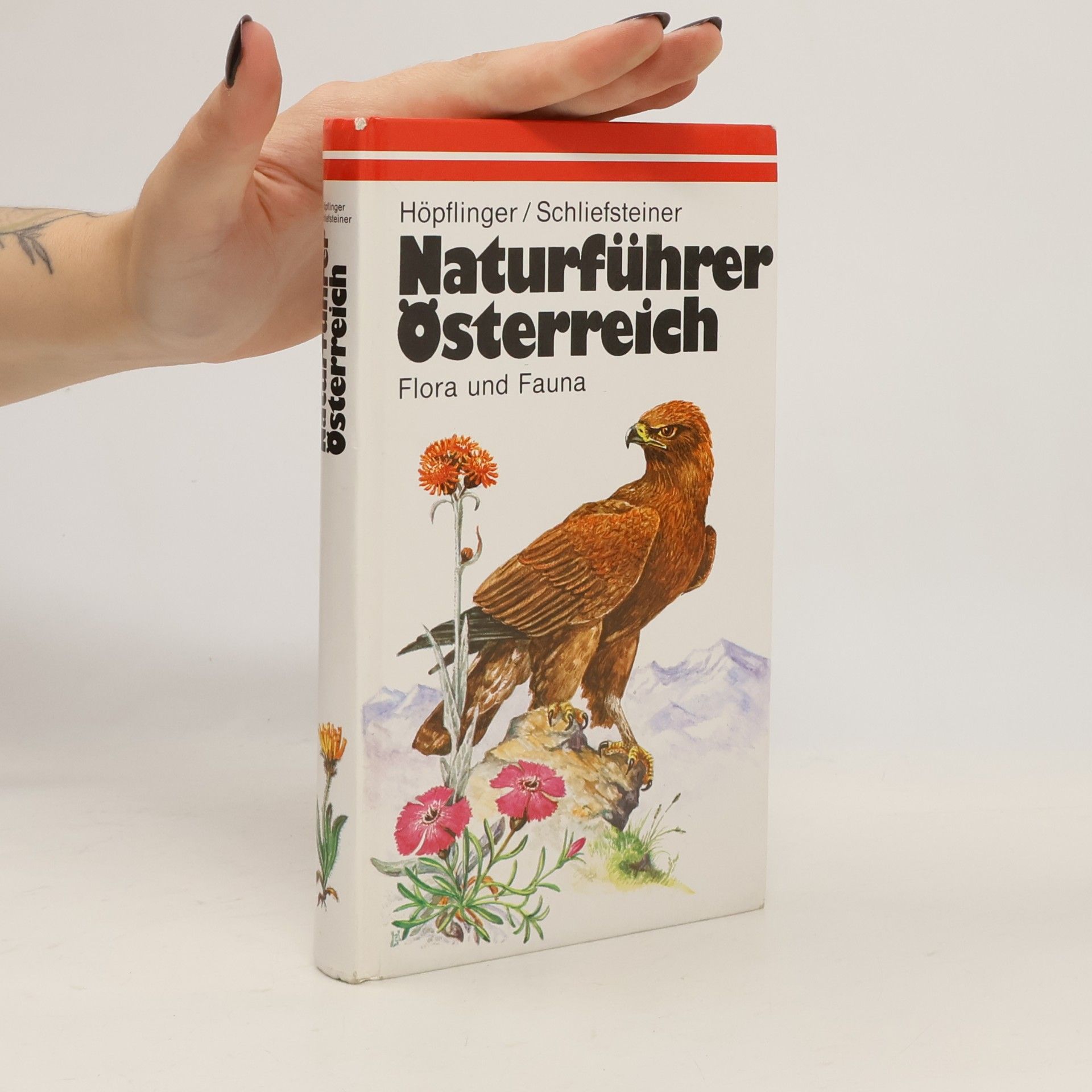 Kolektiv autorů Naturführer Österreich. Flora und Fauna