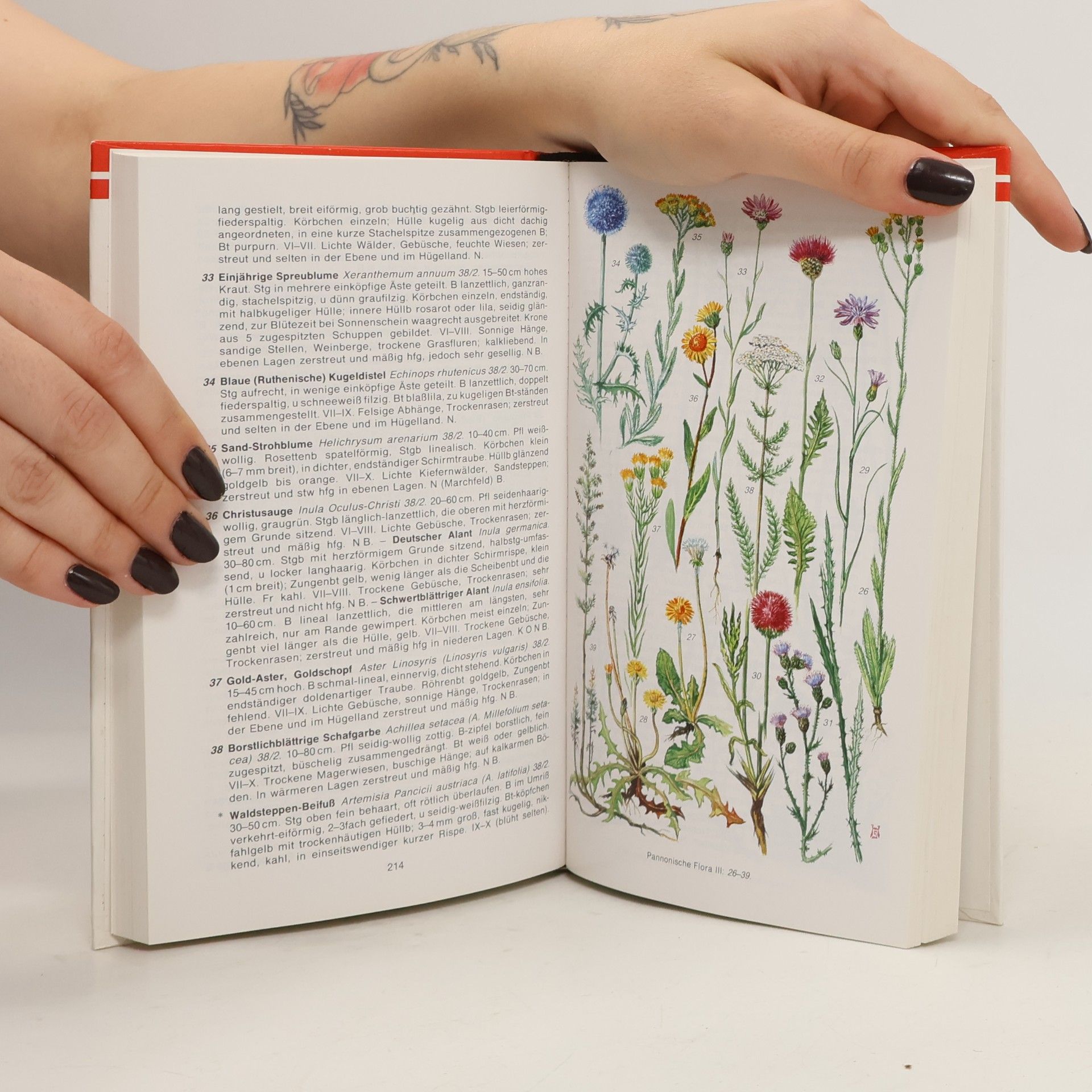 Various authors Naturführer Österreich. Flora und Fauna