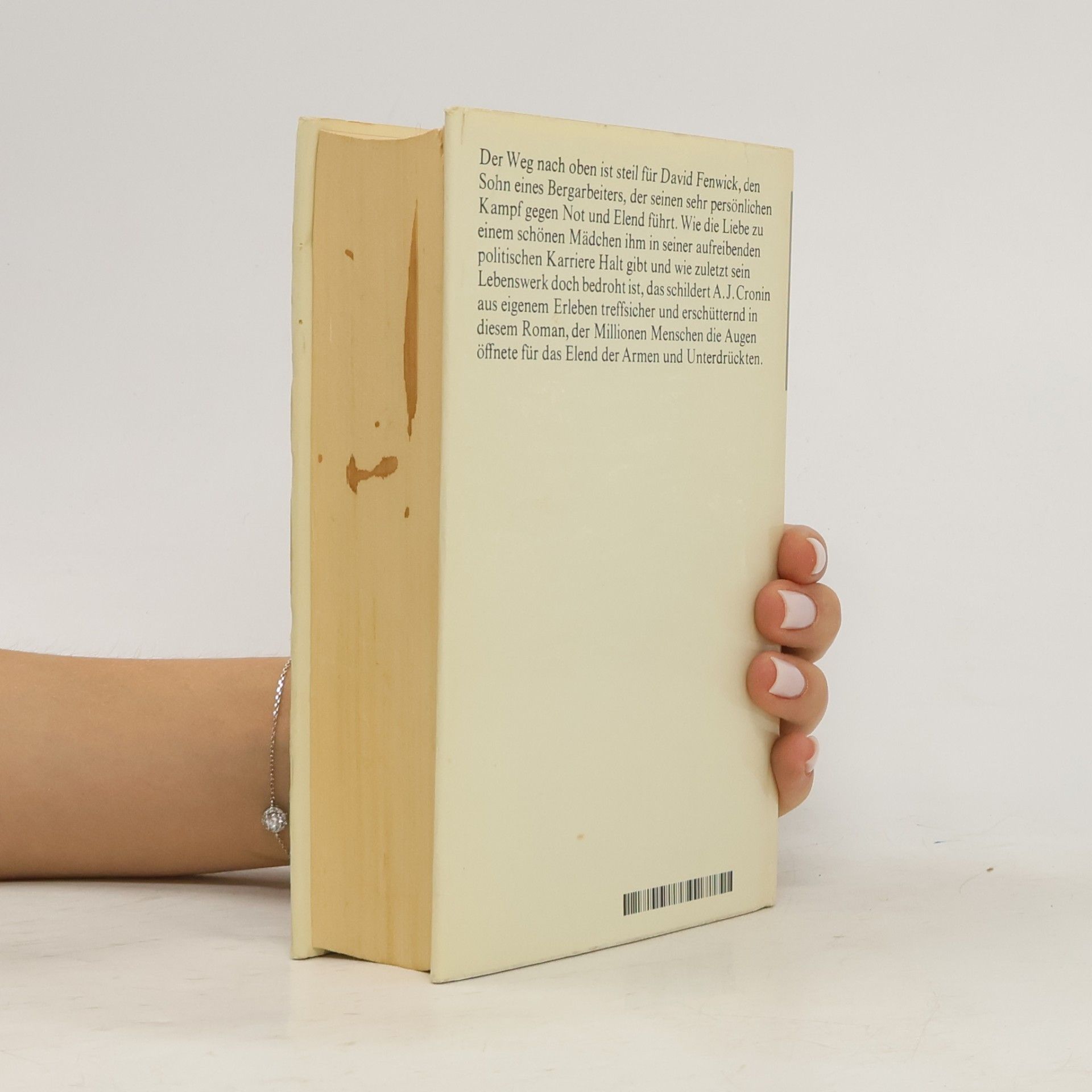 A. J. Cronin Die Sterne blicken herab