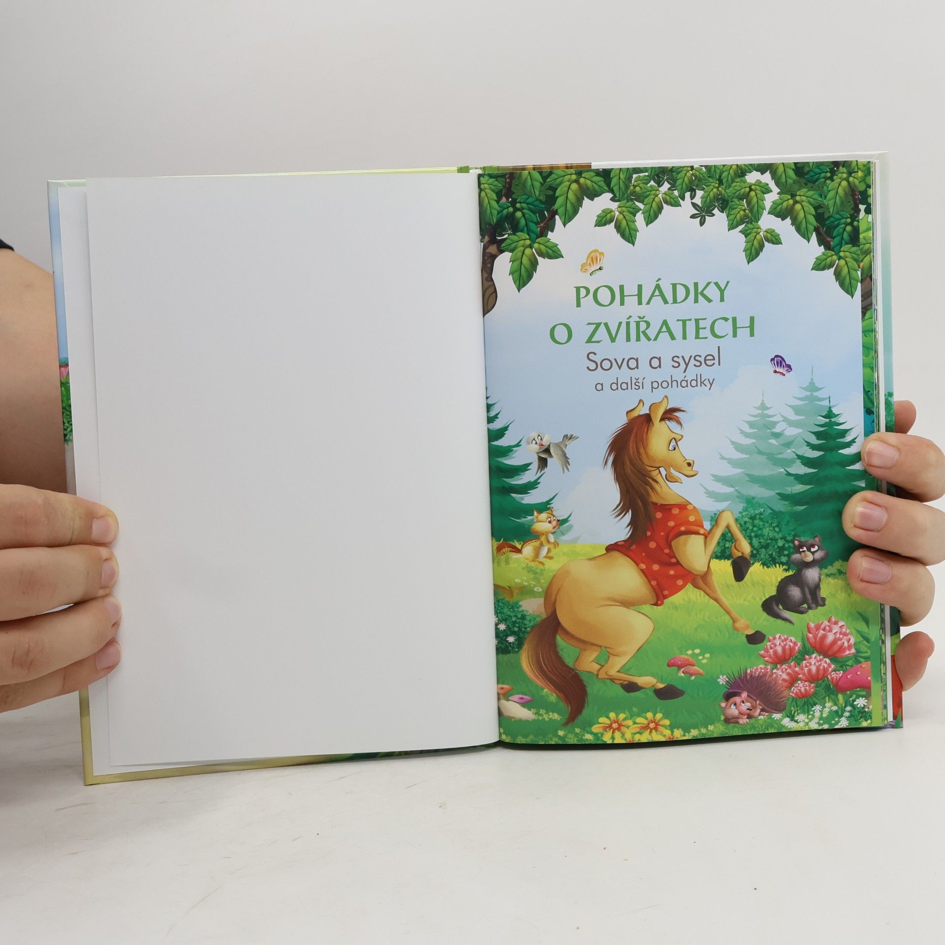 Éva Pádár Pohádky o zvířatech. Sova a sysel a další pohádky