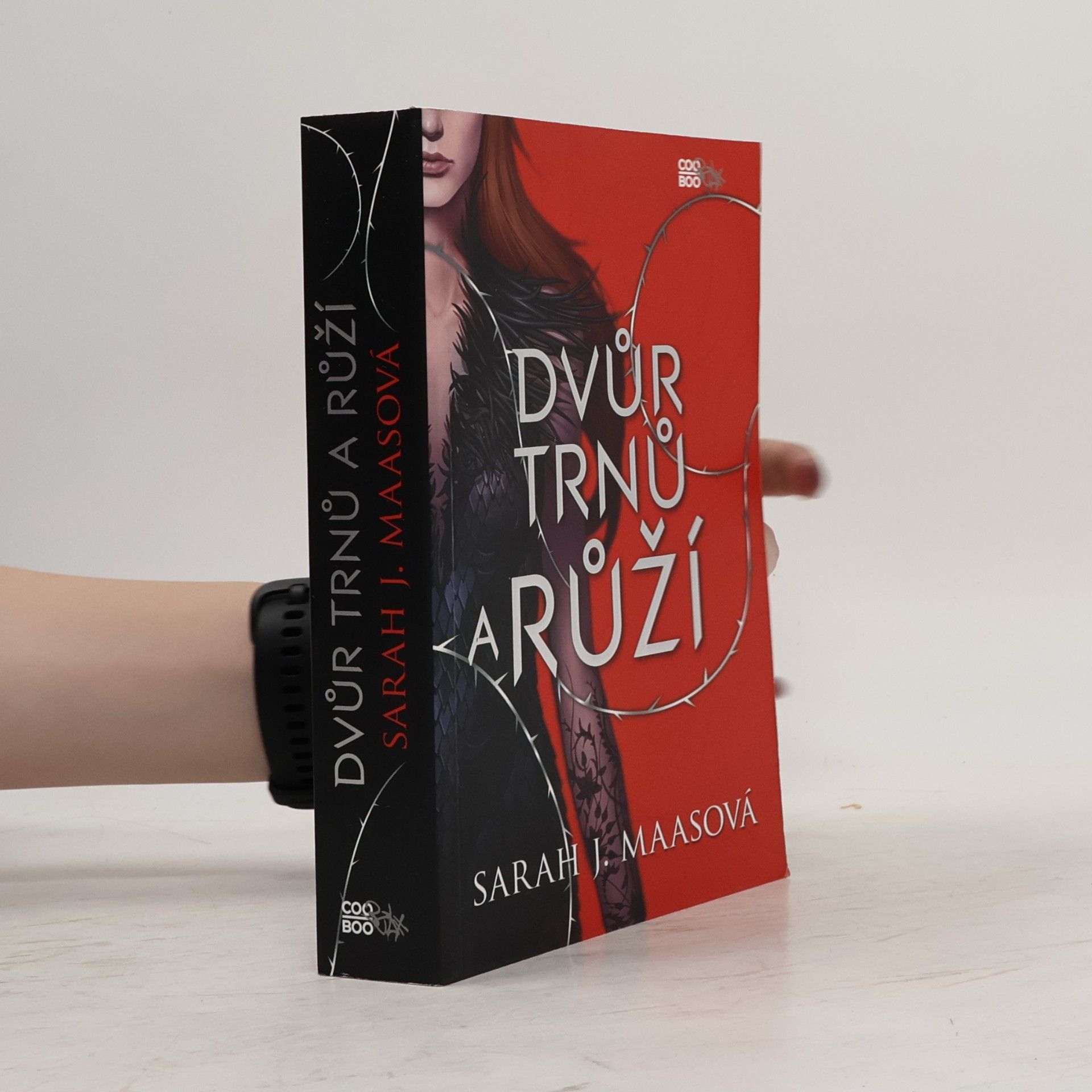 Sarah J. Maas Dvůr trnů a růží