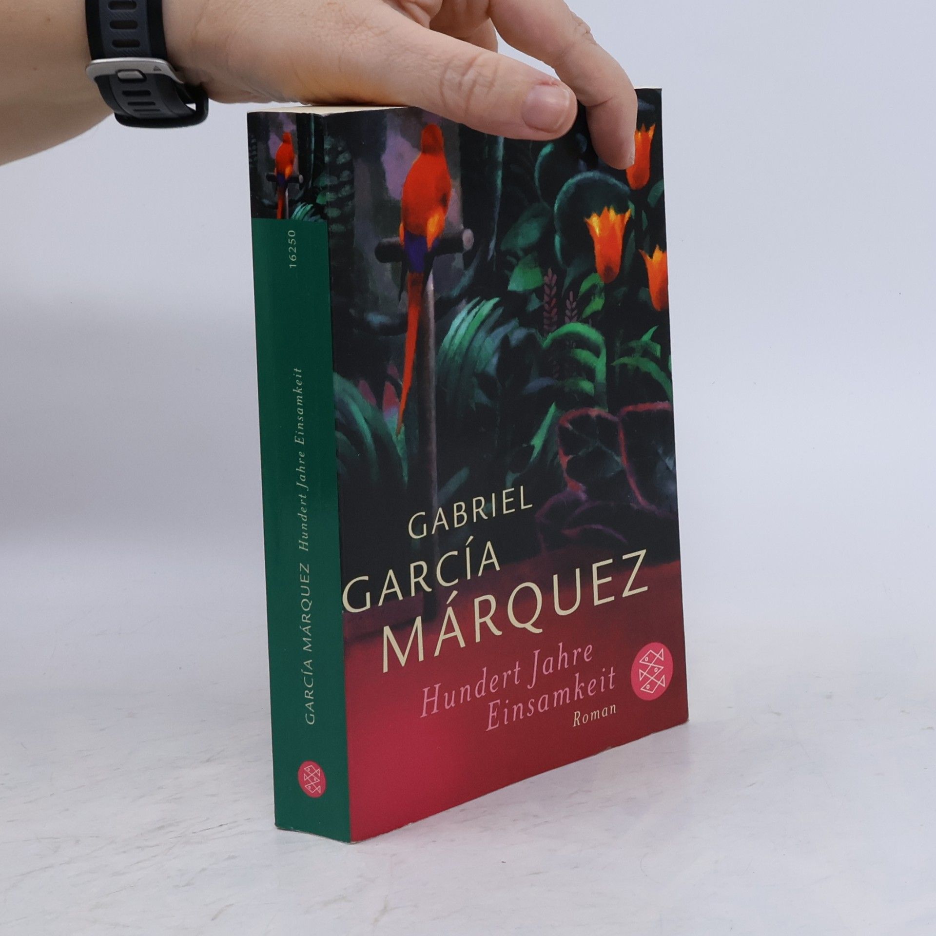 Gabriel García Márquez Hundert Jahre Einsamkeit