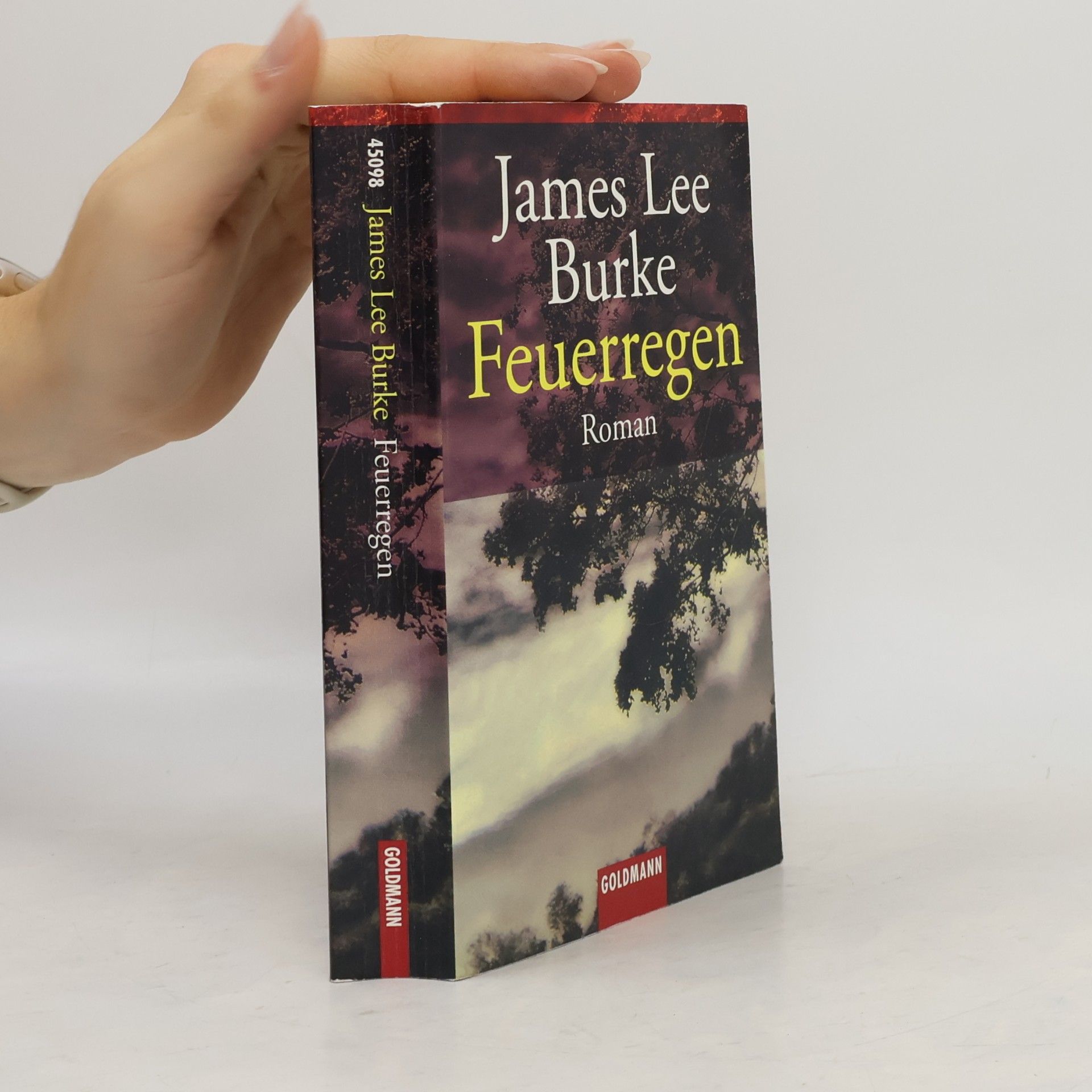James Lee Burke Feuerregen. Roman. Aus d. Amerikan. v. Georg Schmidt