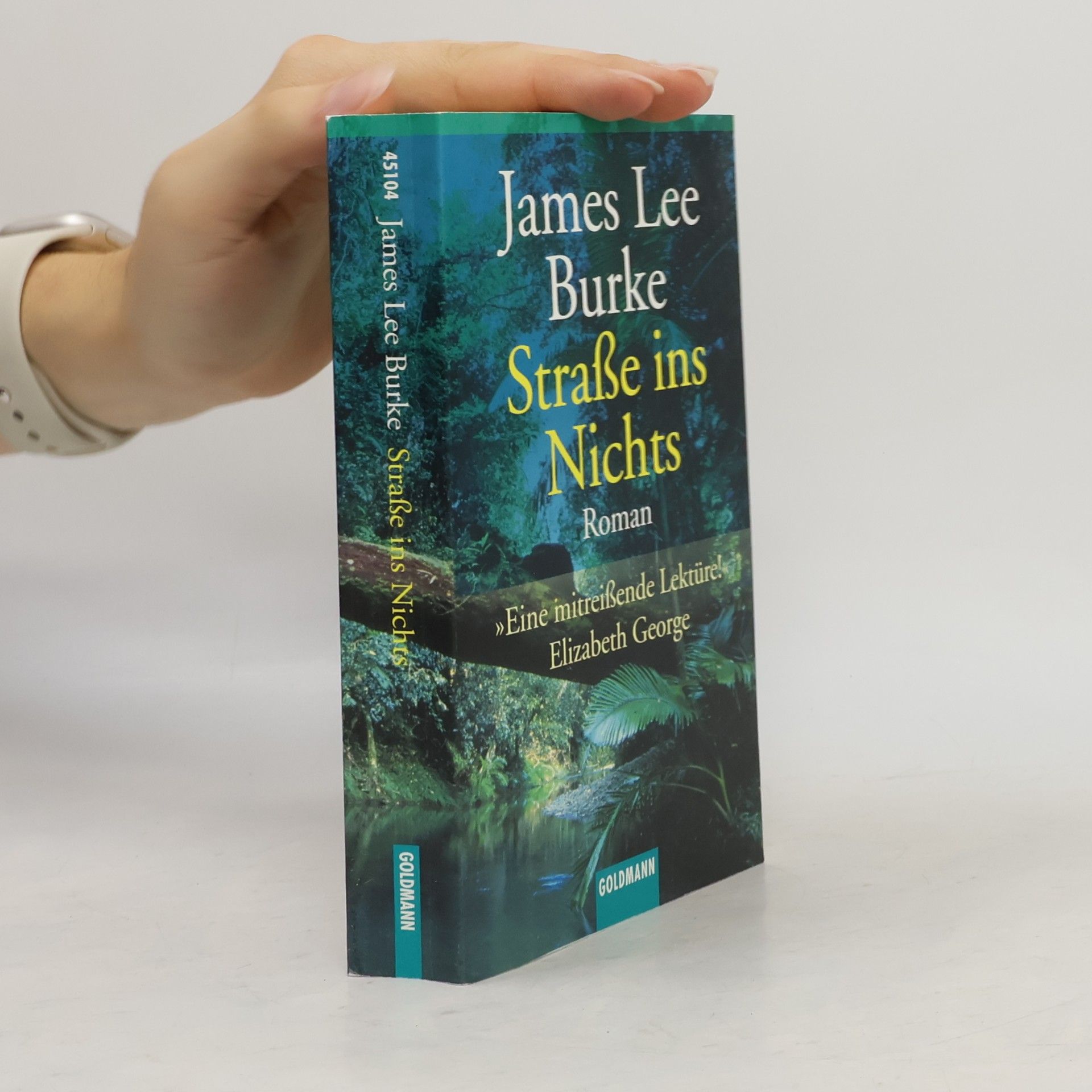 James Lee Burke Straße ins Nichts