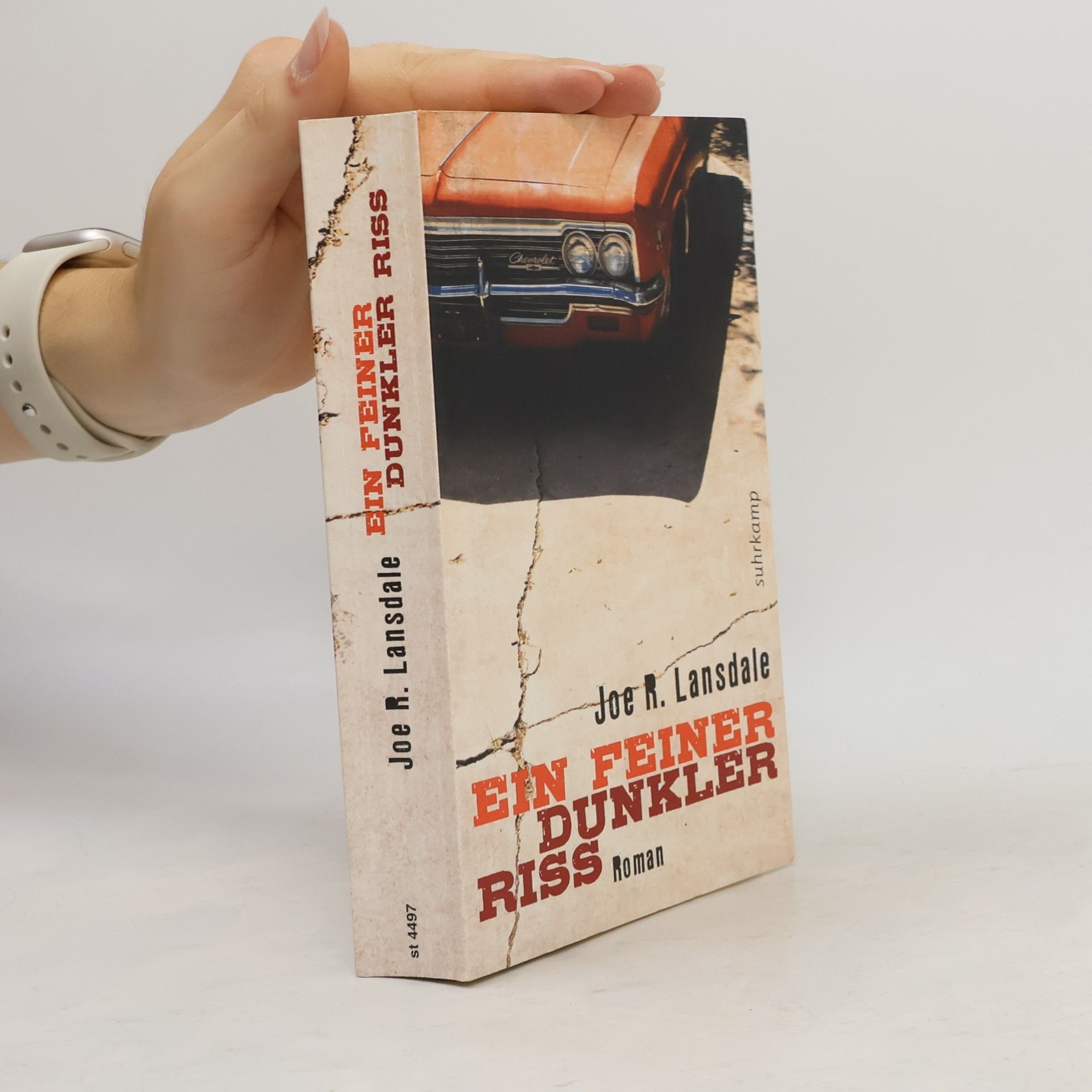 Joe R. Lansdale Ein feiner dunkler Riss