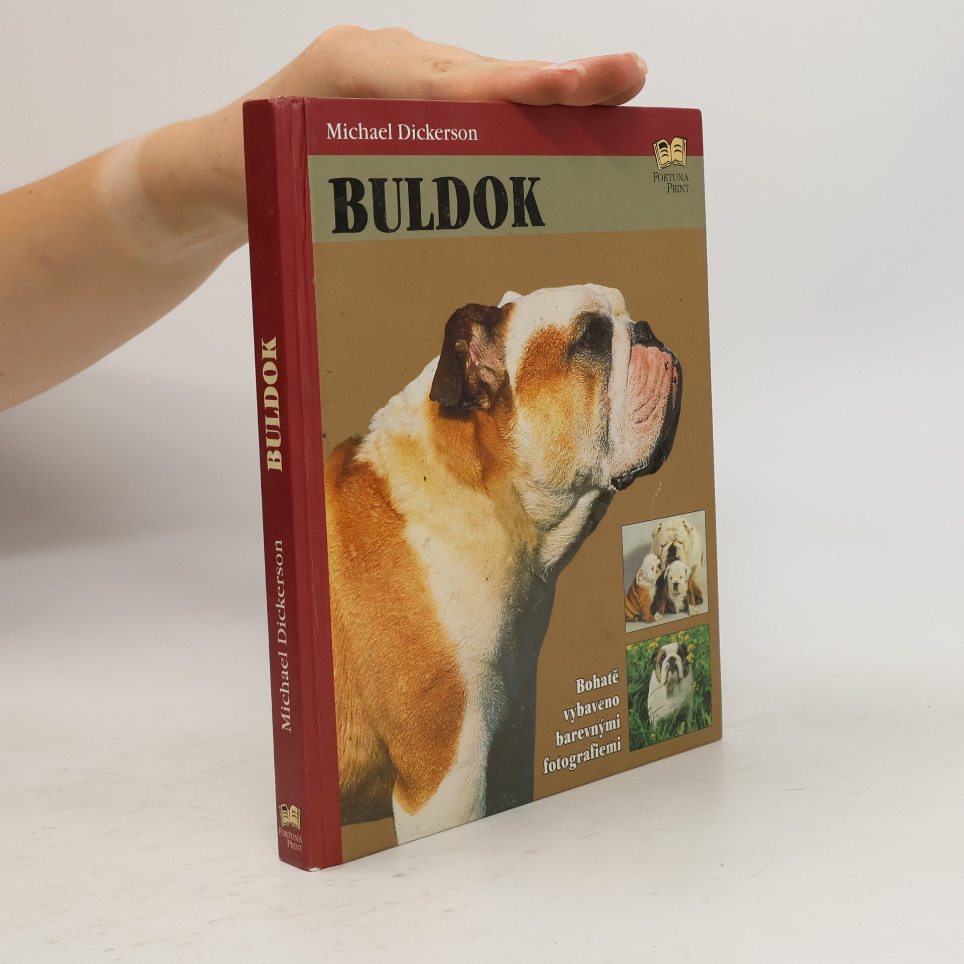 Buldok