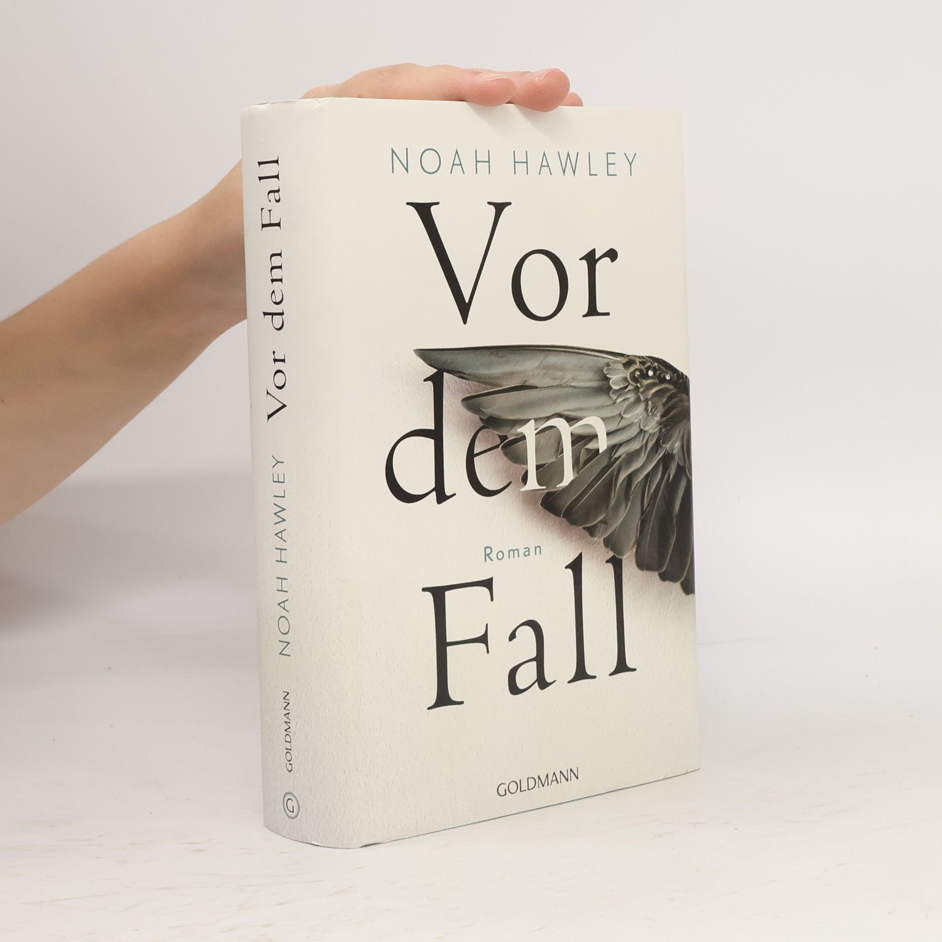 Noah Hawley Vor dem Fall