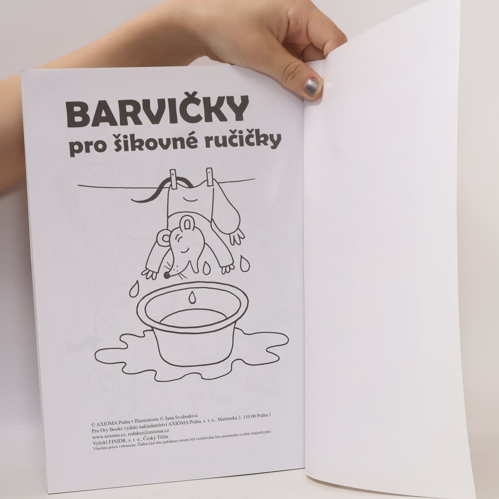 Jana Svobodová Barvičky pro šikovné ručičky
