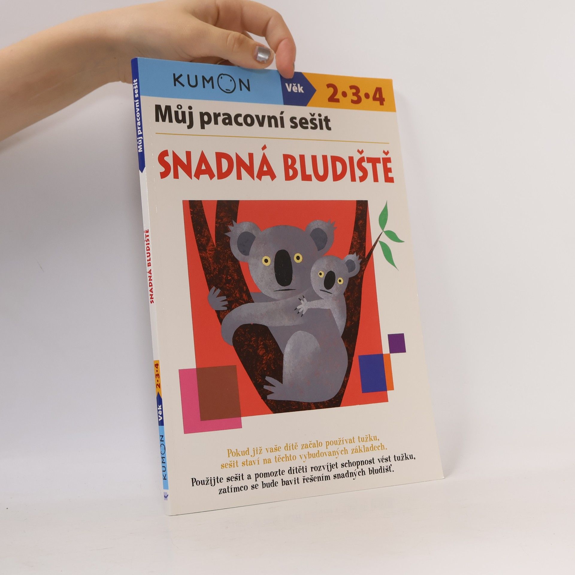 Vlasta Benešová Můj pracovní sešit. Snadná bludiště